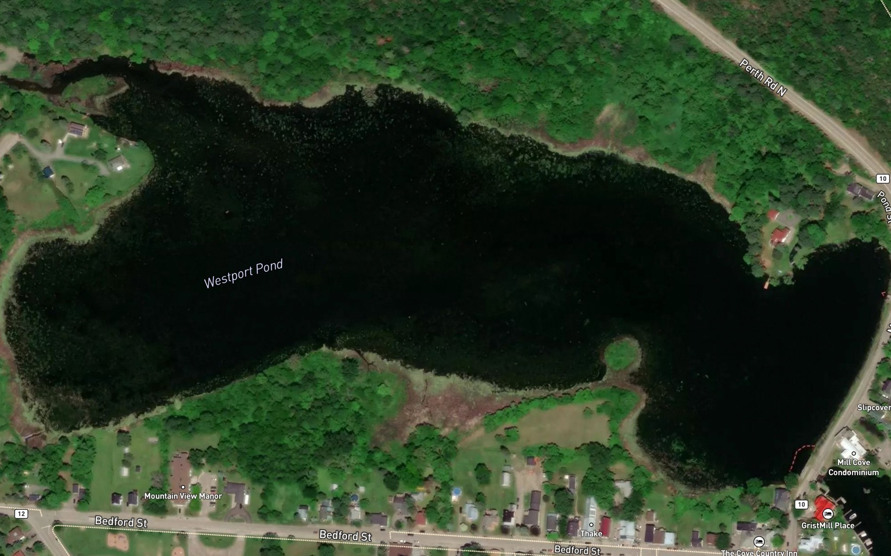 Satellite map of the Westport Pond
