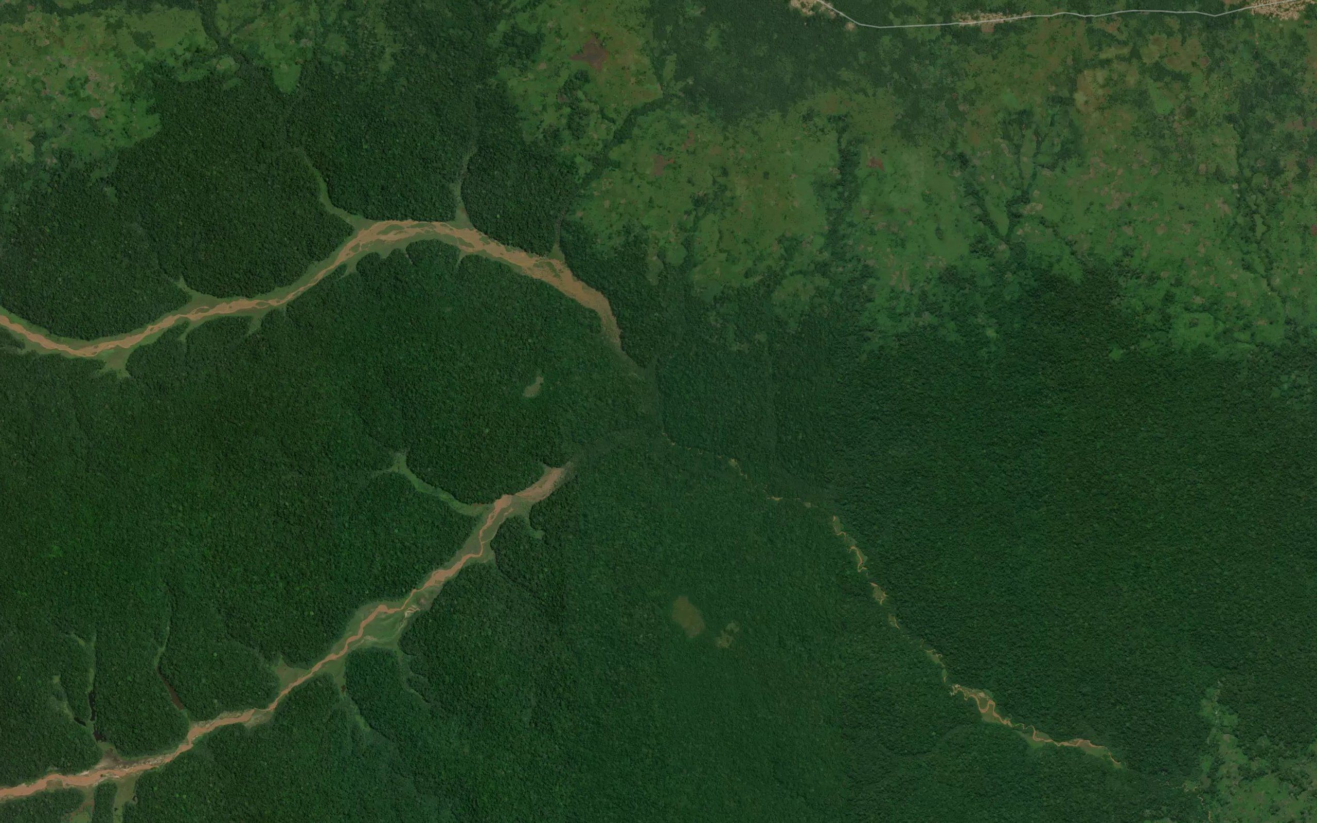 Ngulu