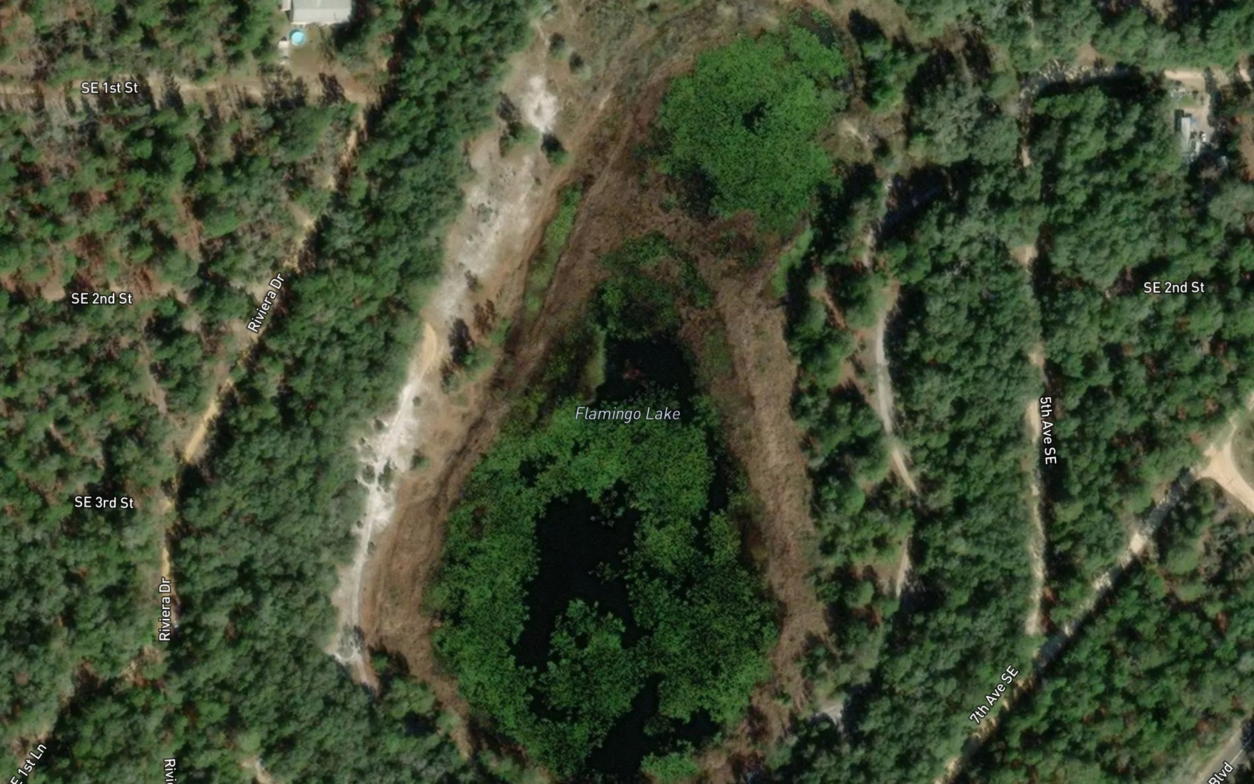 Satellite map of the Flamingo Lake