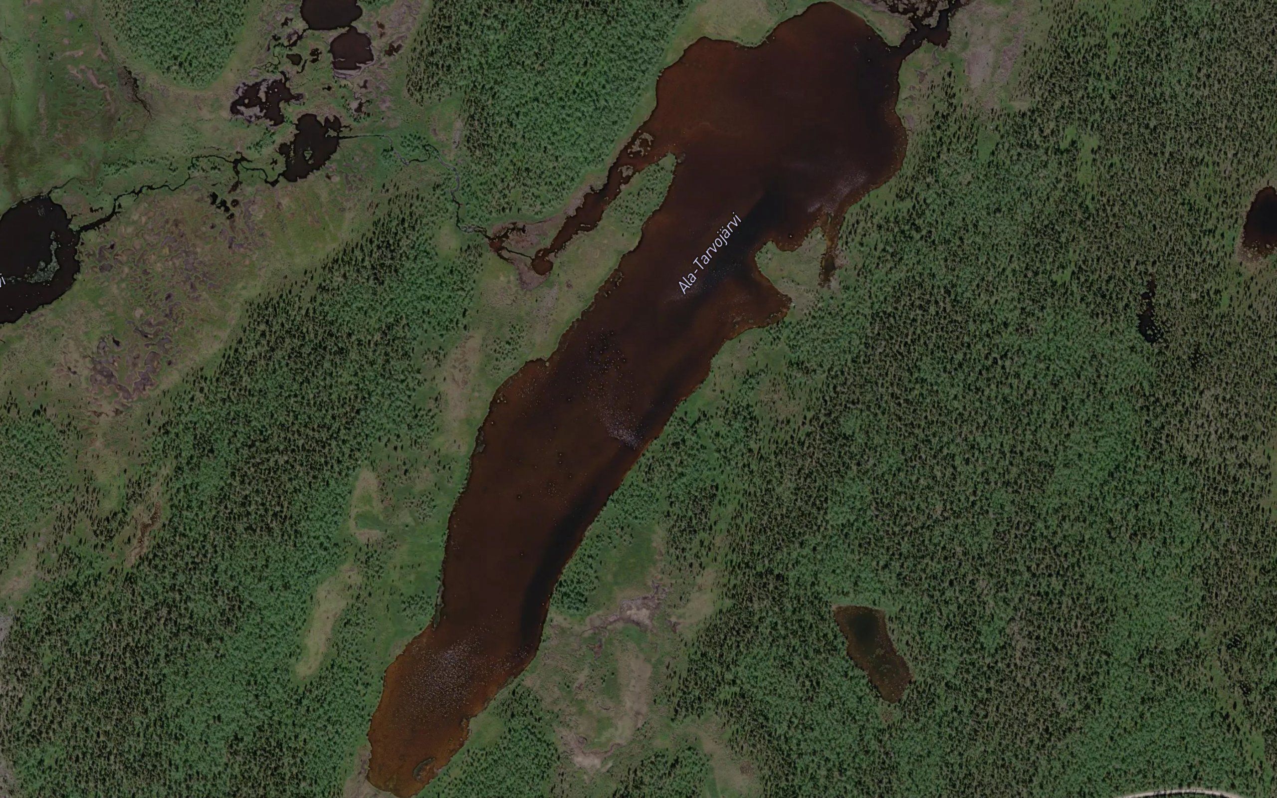 Tarvoojuuvas