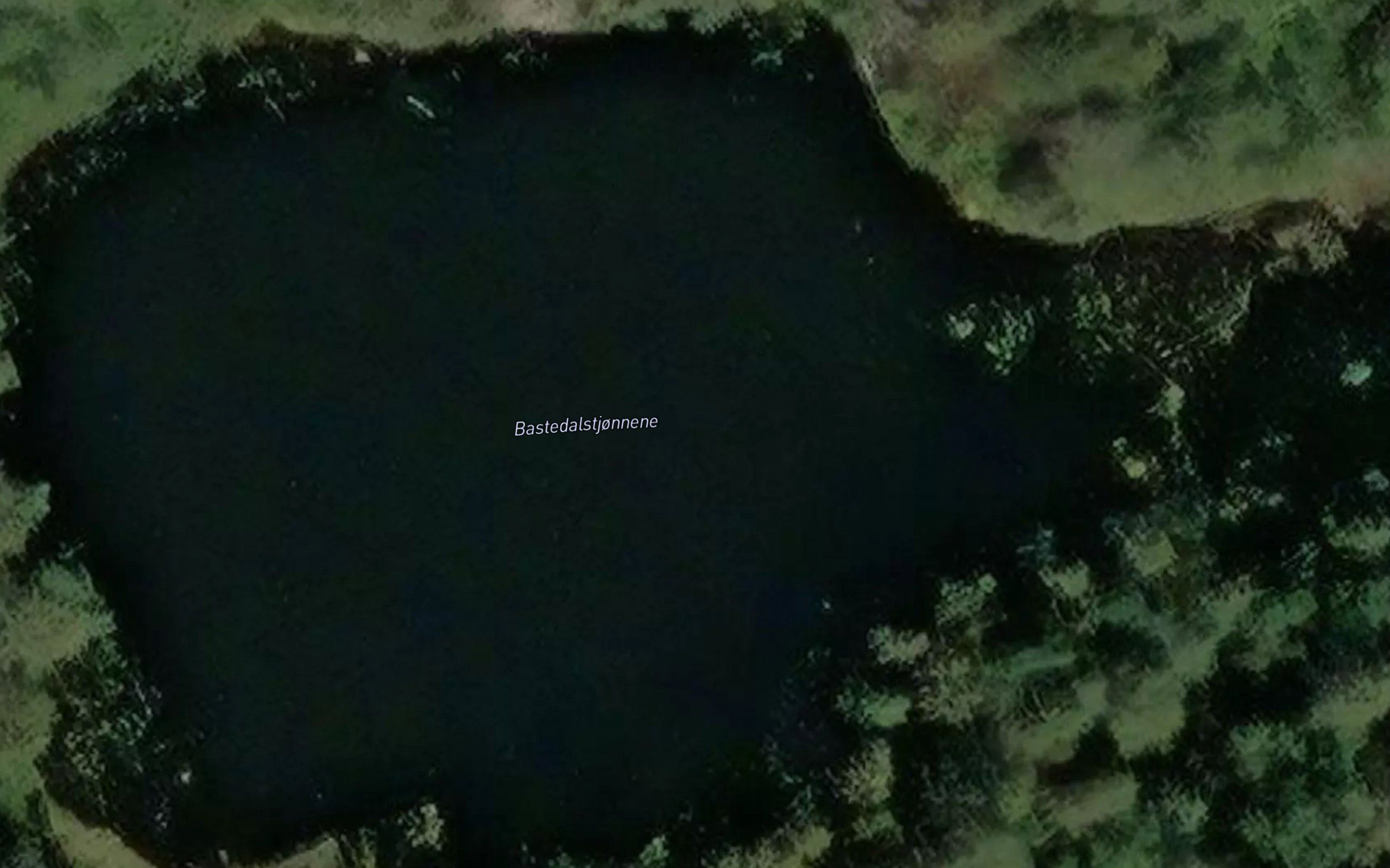 Bastedalstjornene