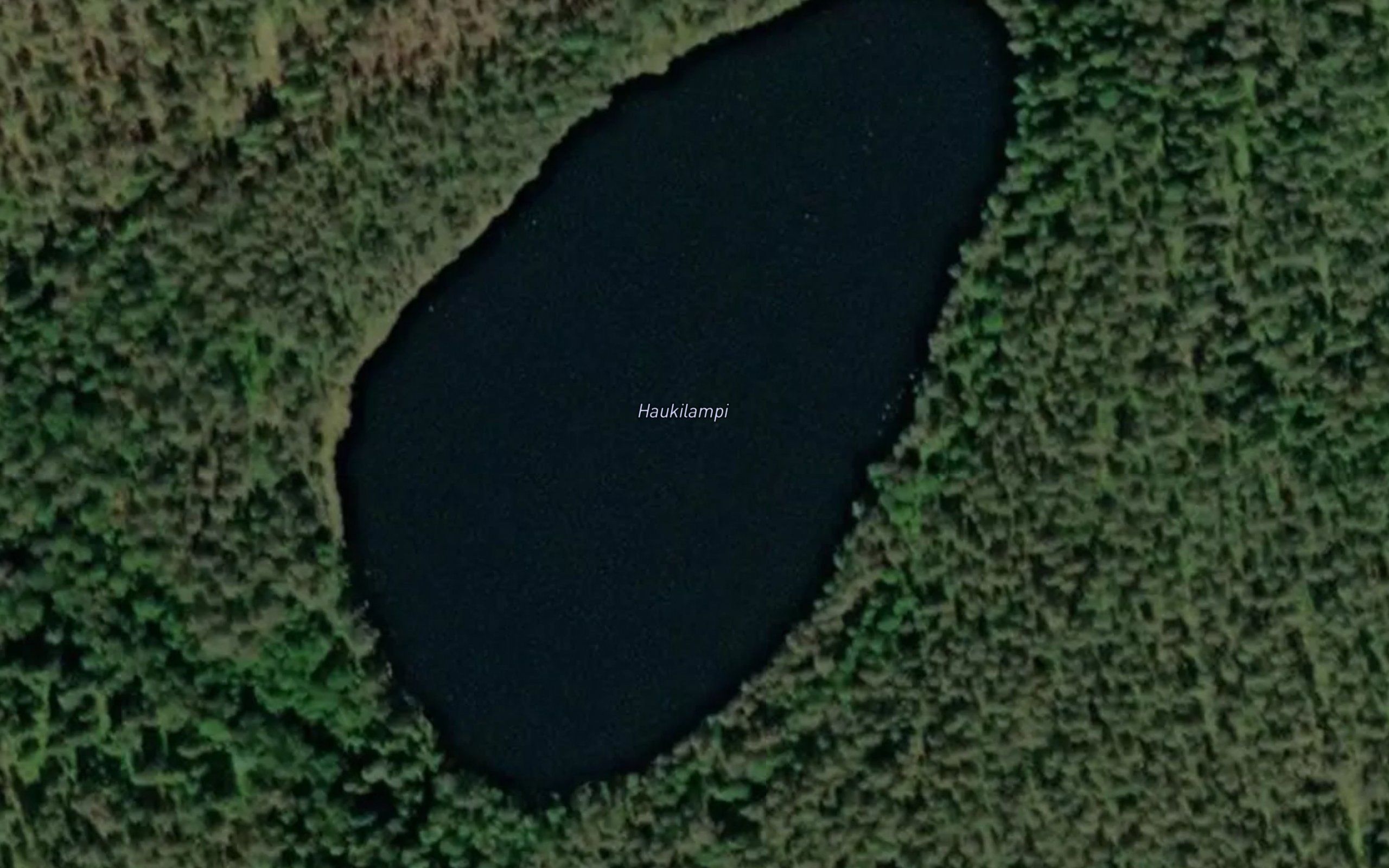 Hauklampi