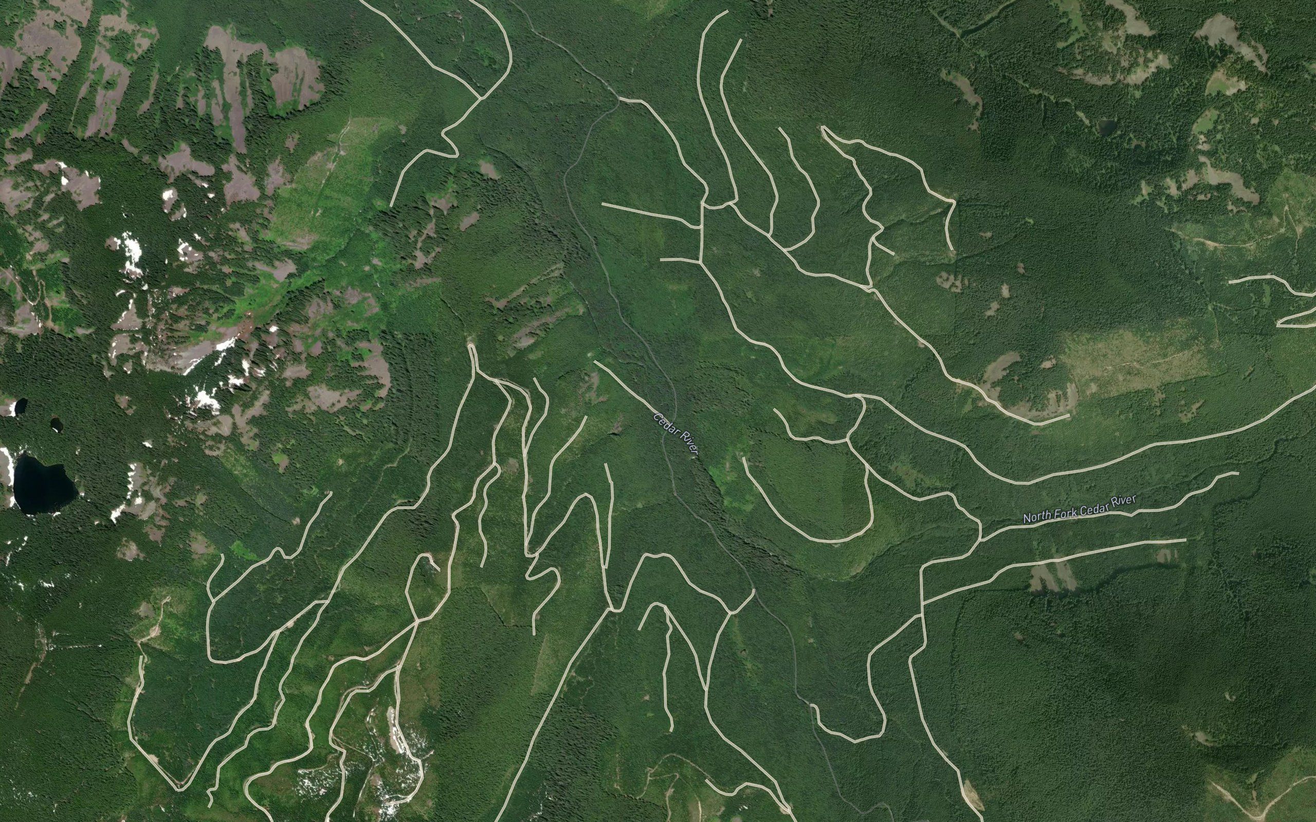 Viola Creek