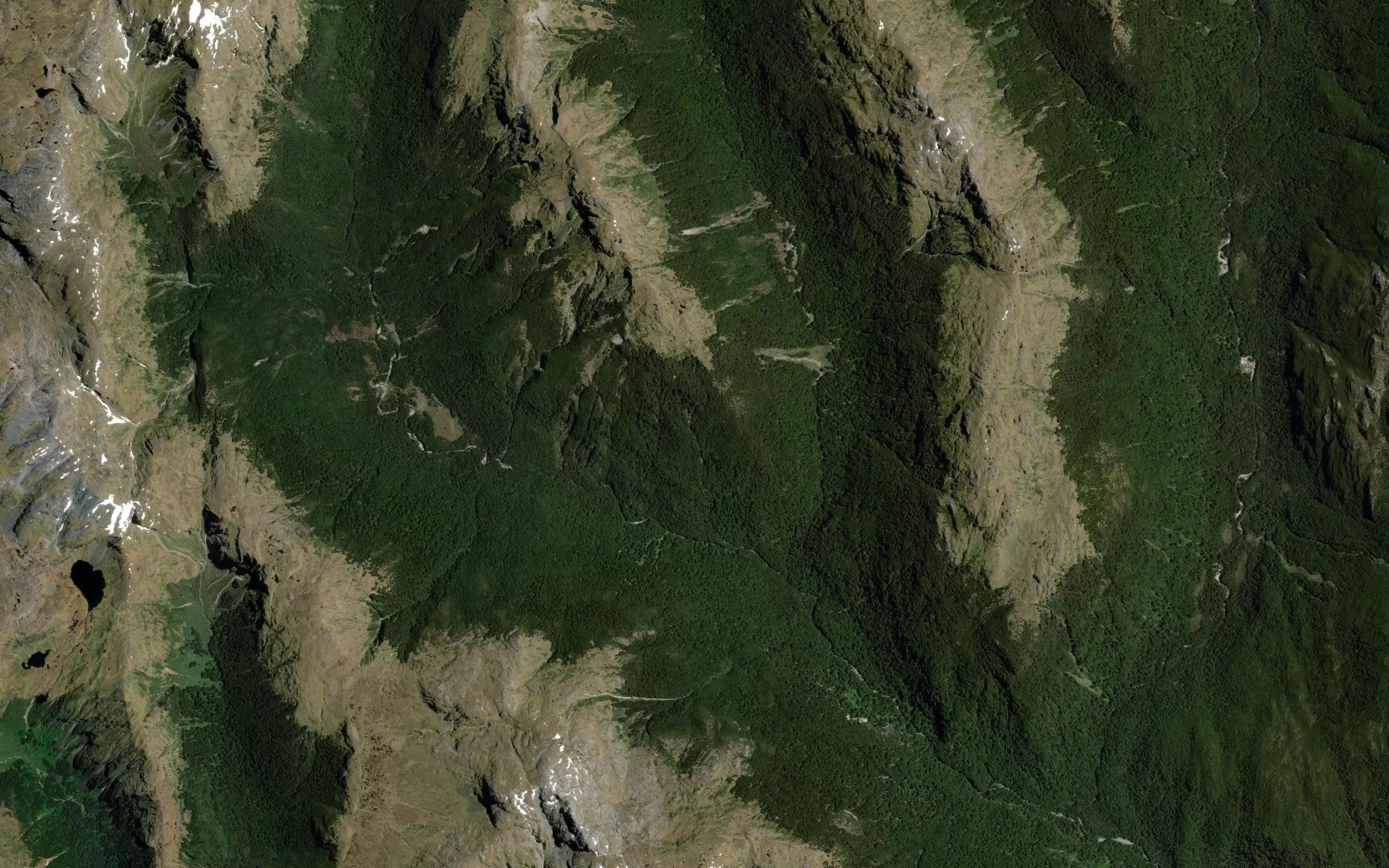 Gardner Burn