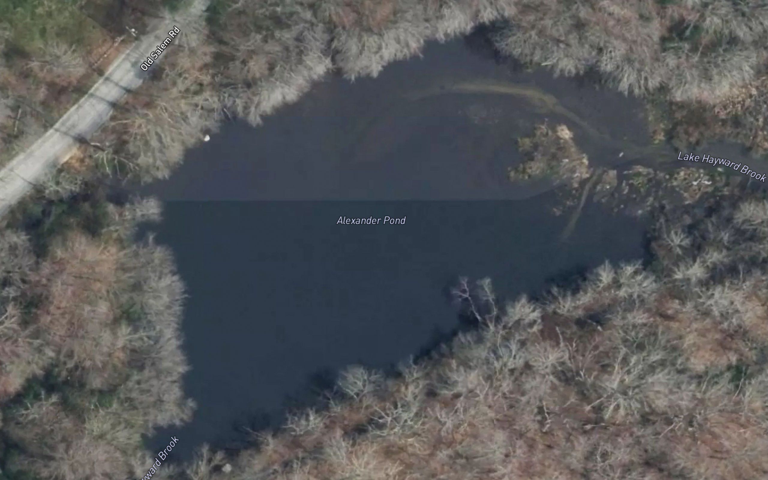 Alexander Pond