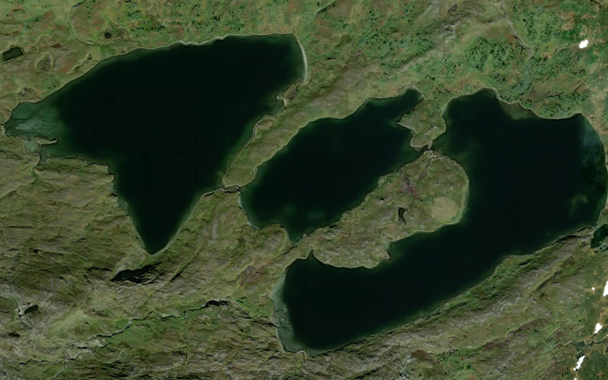 Rennselskardtjornin