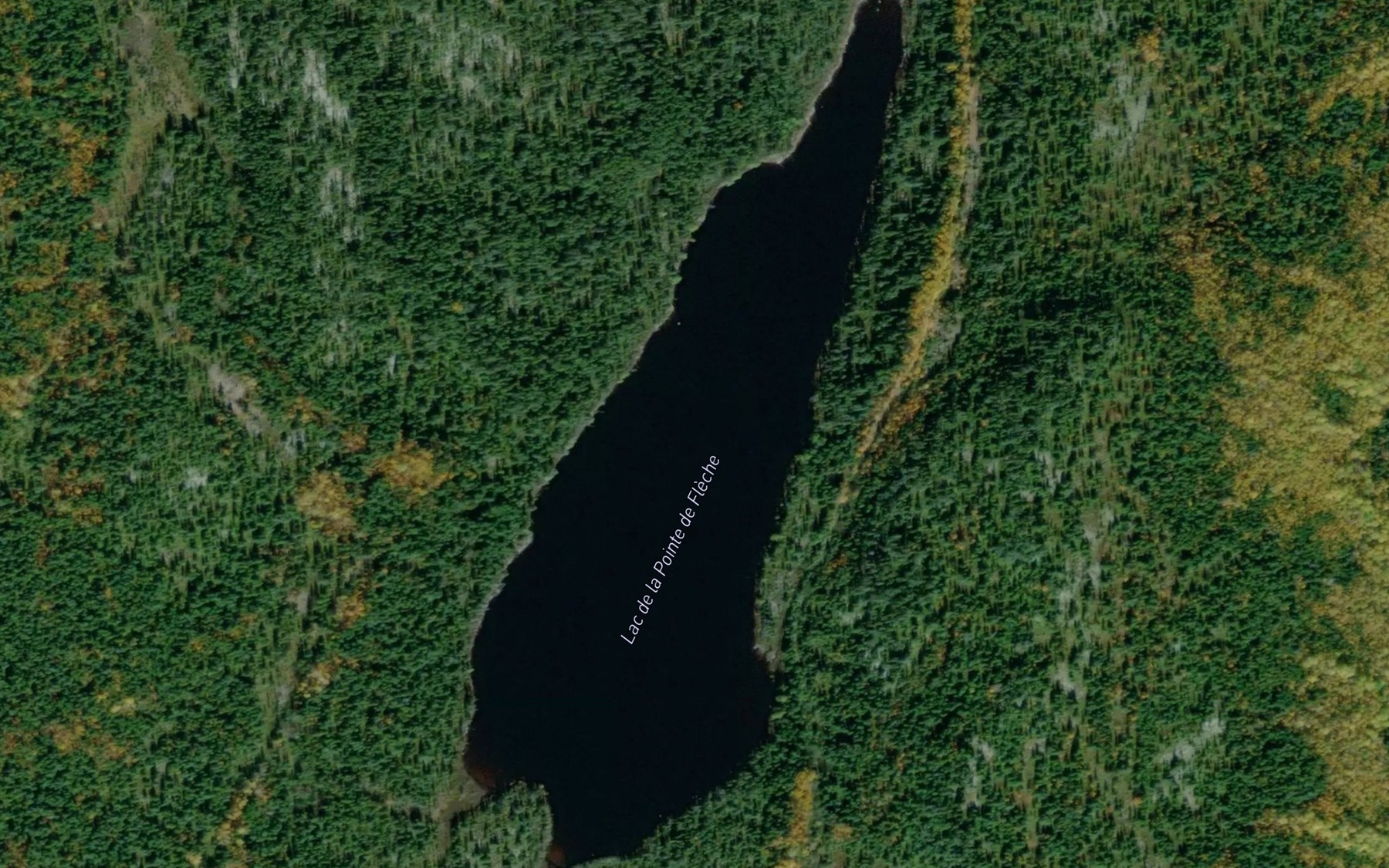 Satellite map of the Lac de la Pointe de Fleche