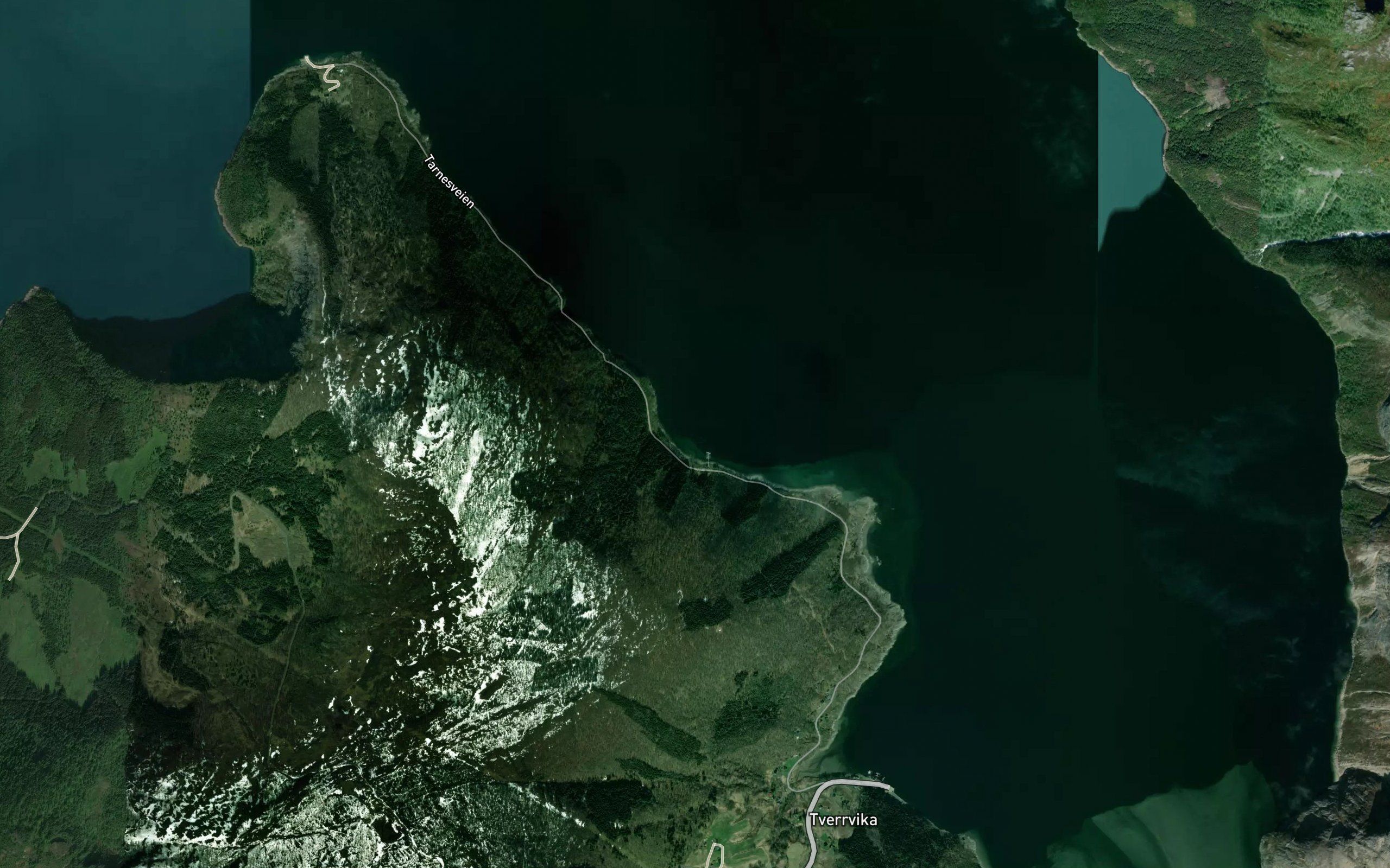Kakevika