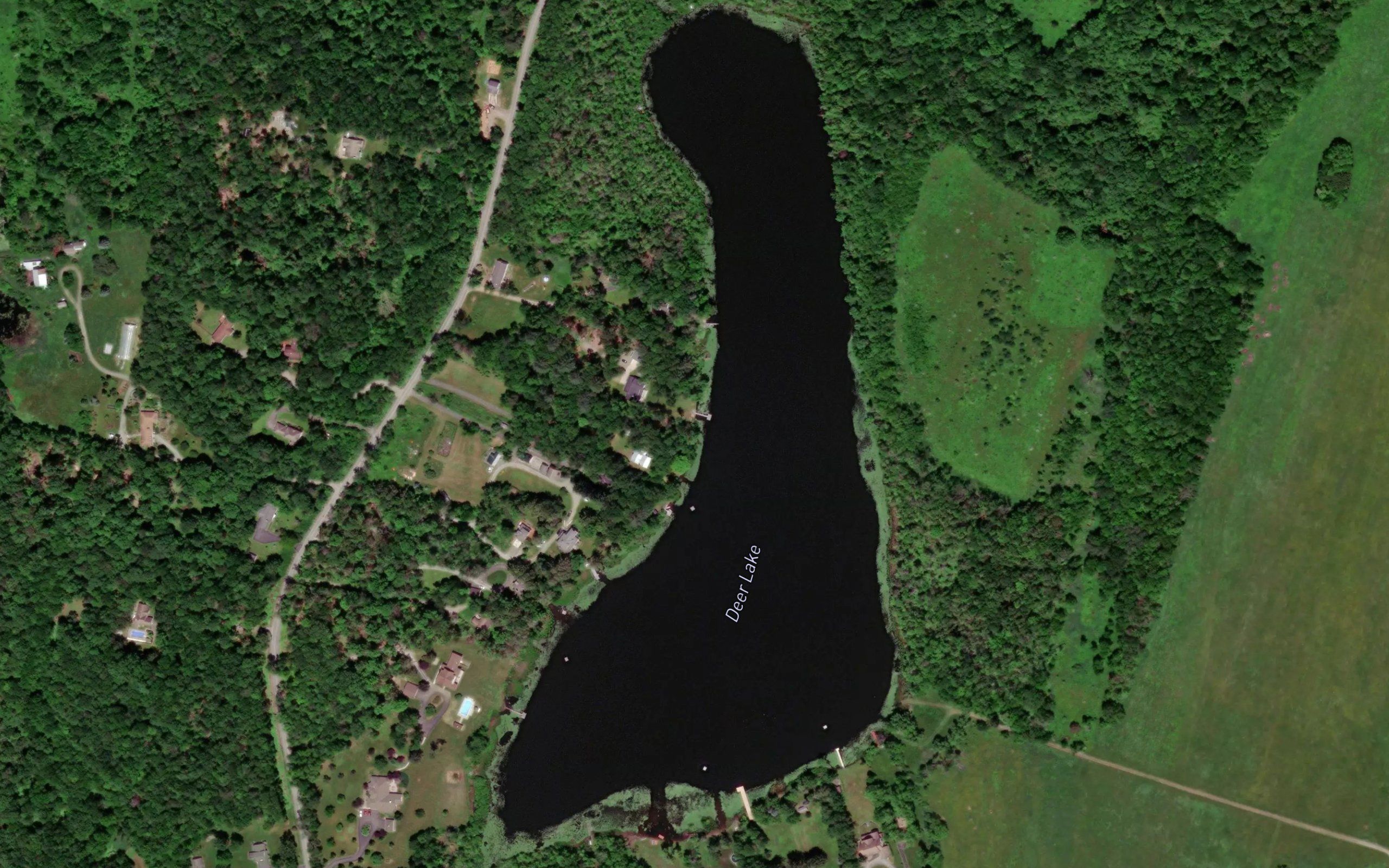 Deer Lake