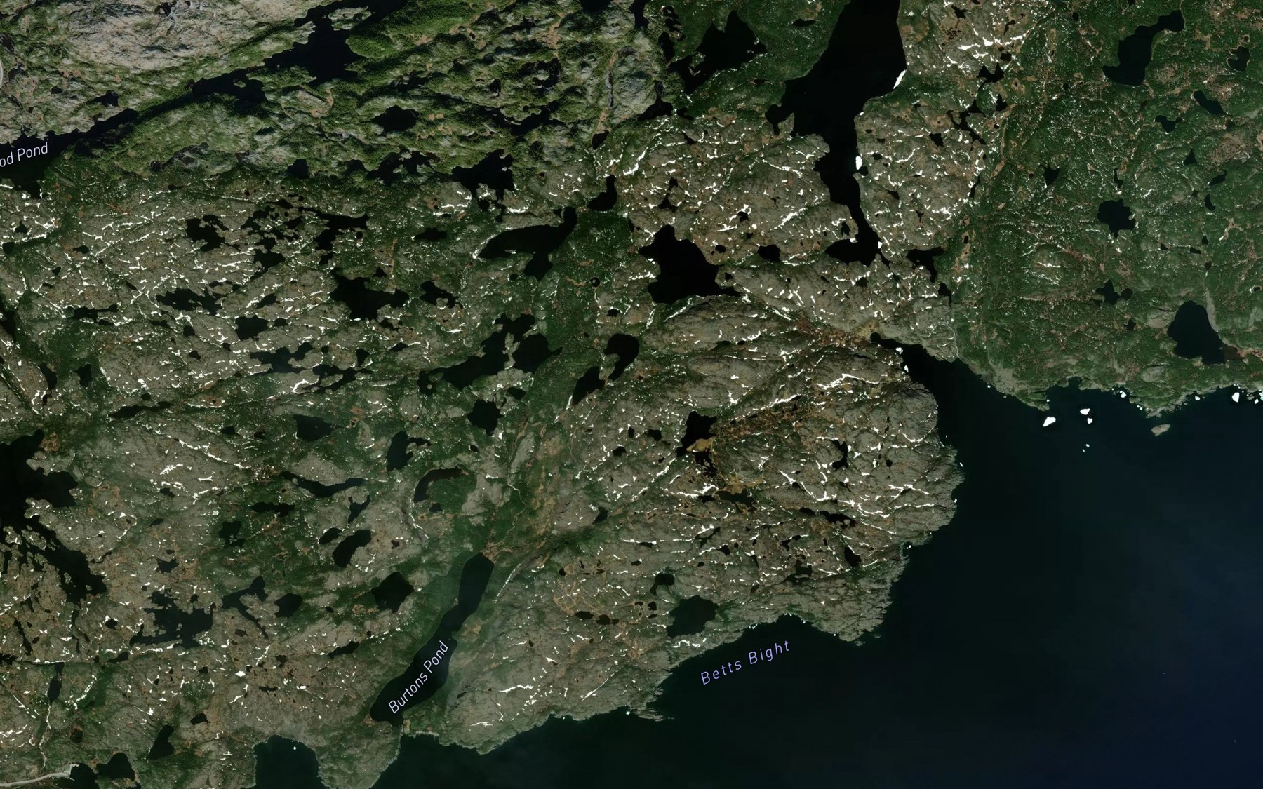 Satellite map of the Kitty Pond