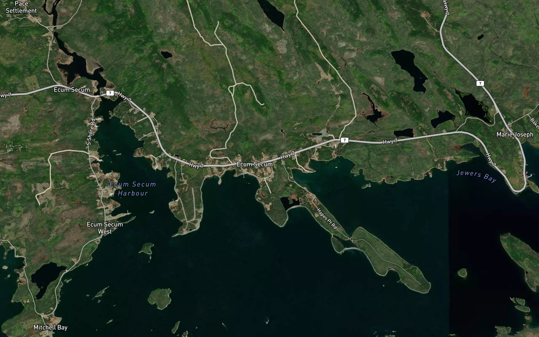 Satellite map of the Back Cove
