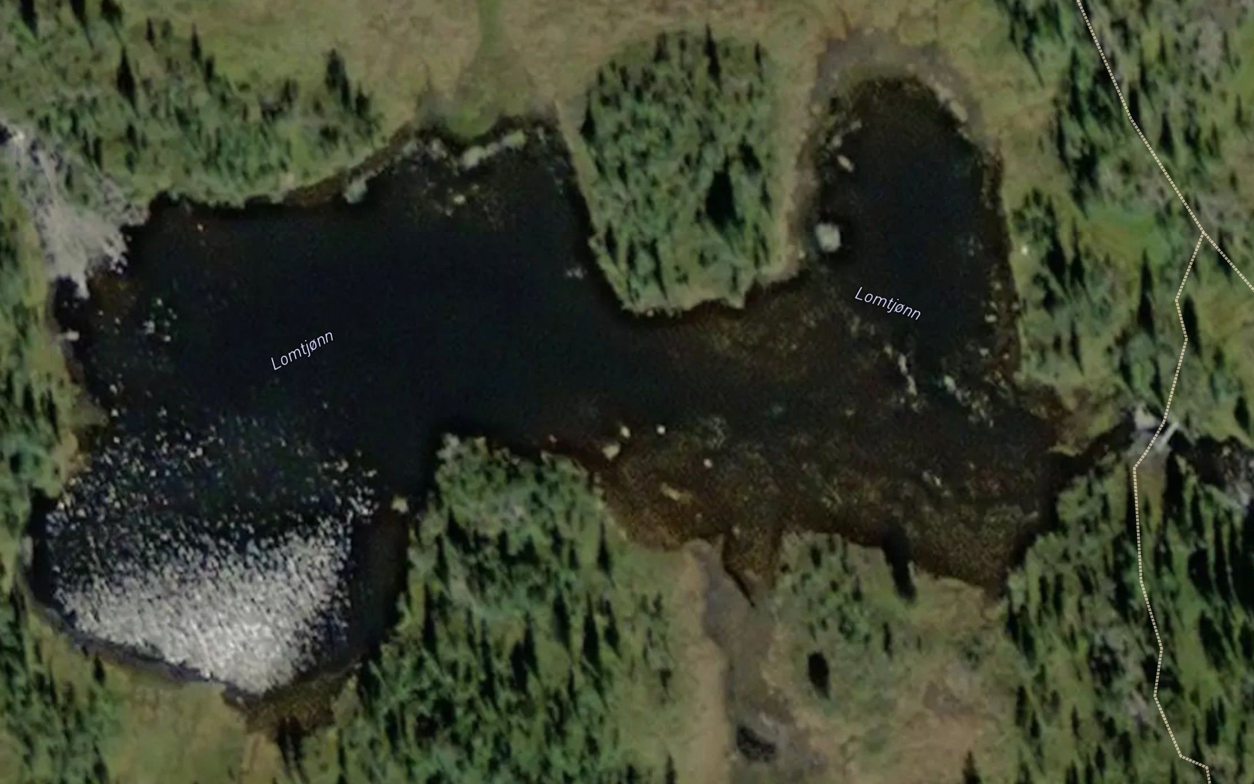 Lomtjorn
