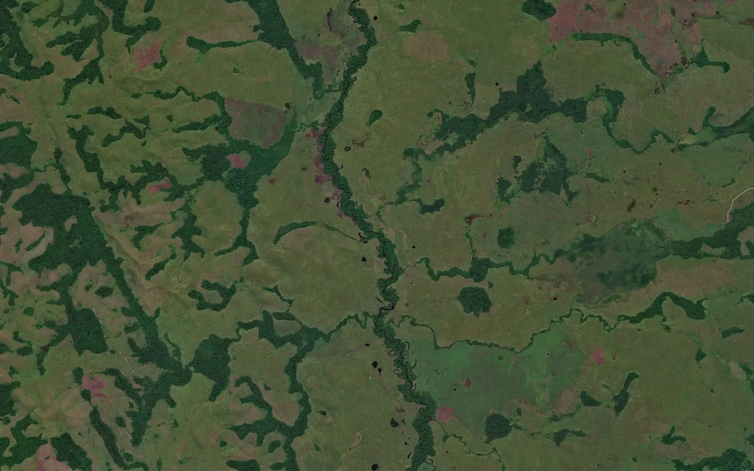 Lussua