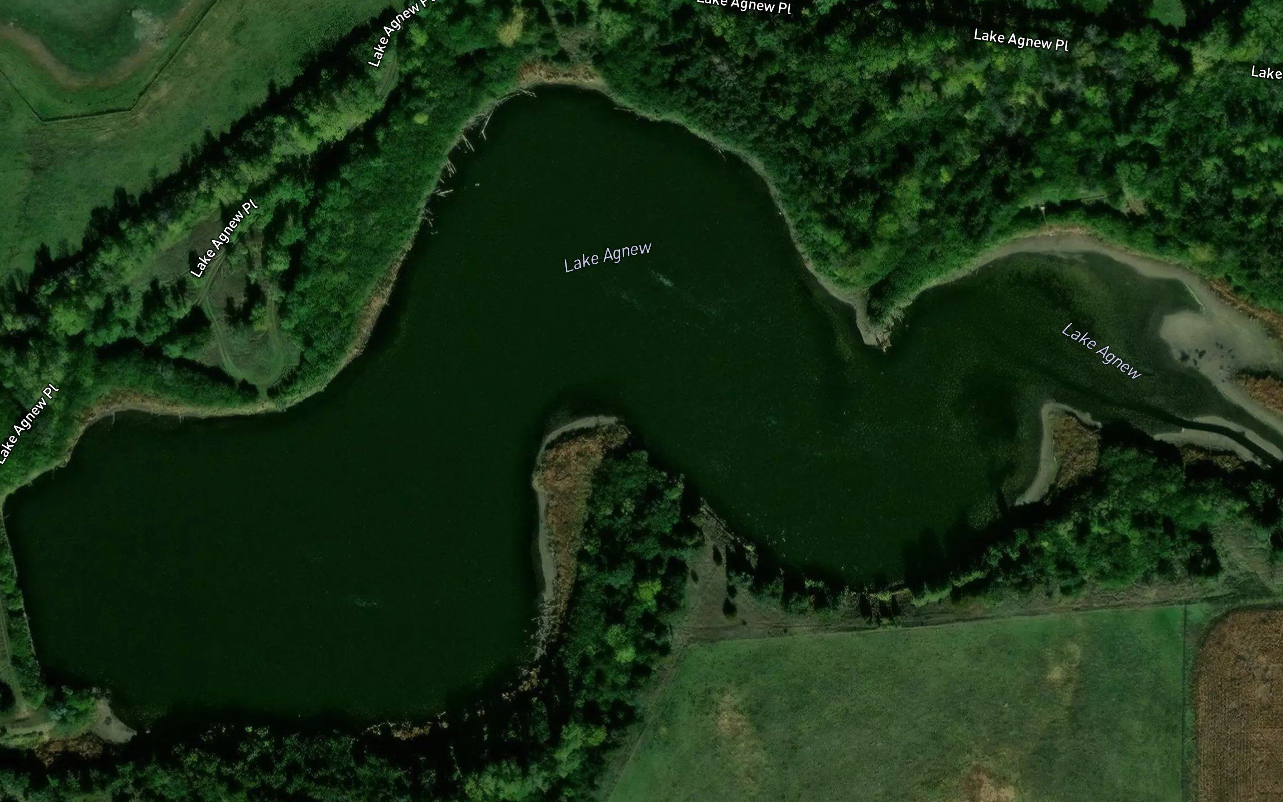 Lake Agnew