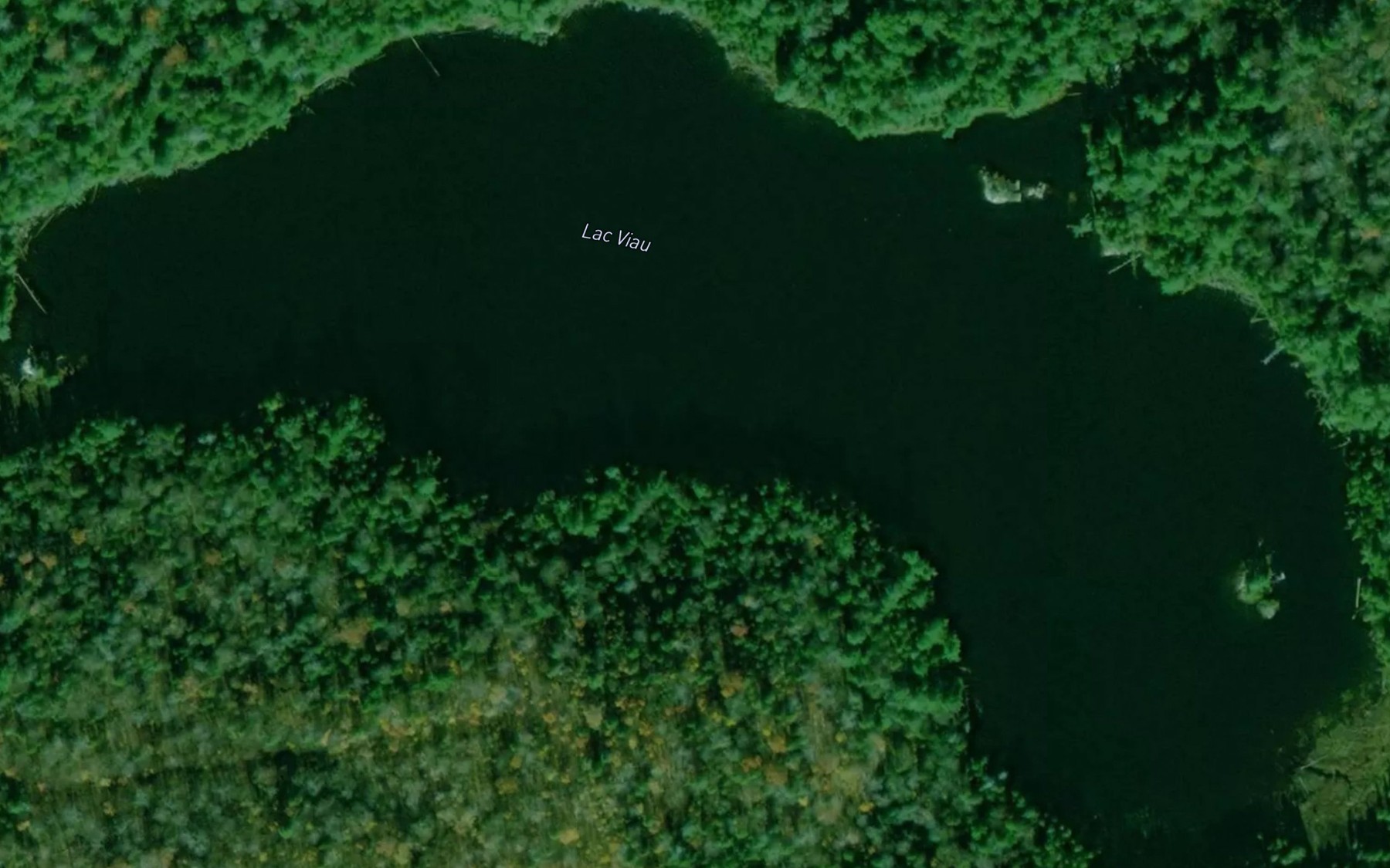 Satellite map of the Lac Viau