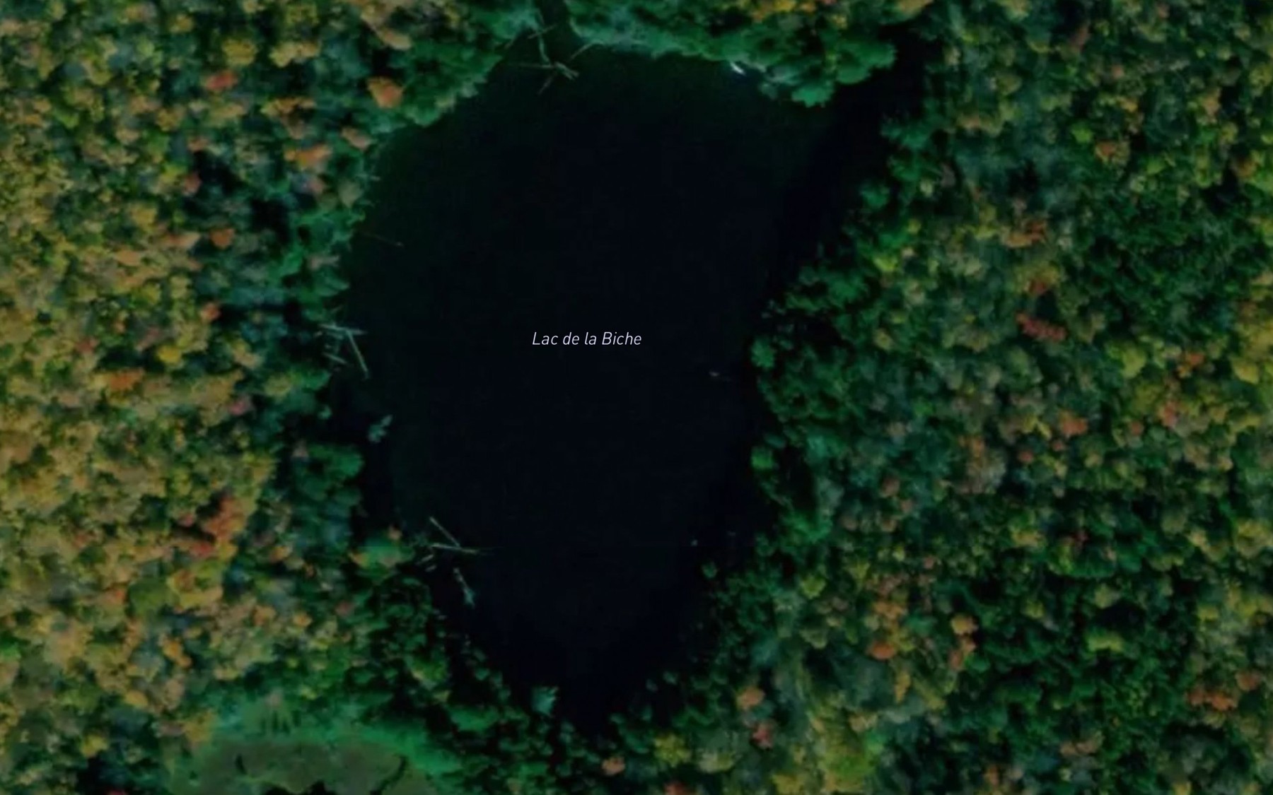 Satellite map of the Lac de la Biche