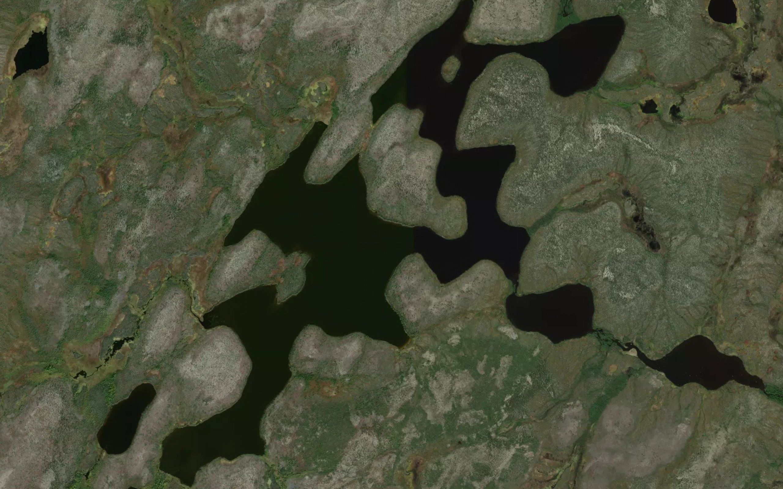 Van Der Vennet Lake
