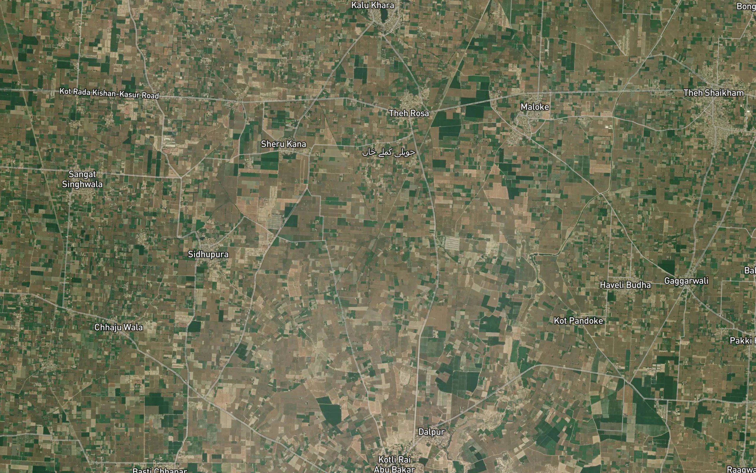 Saharan Minor
