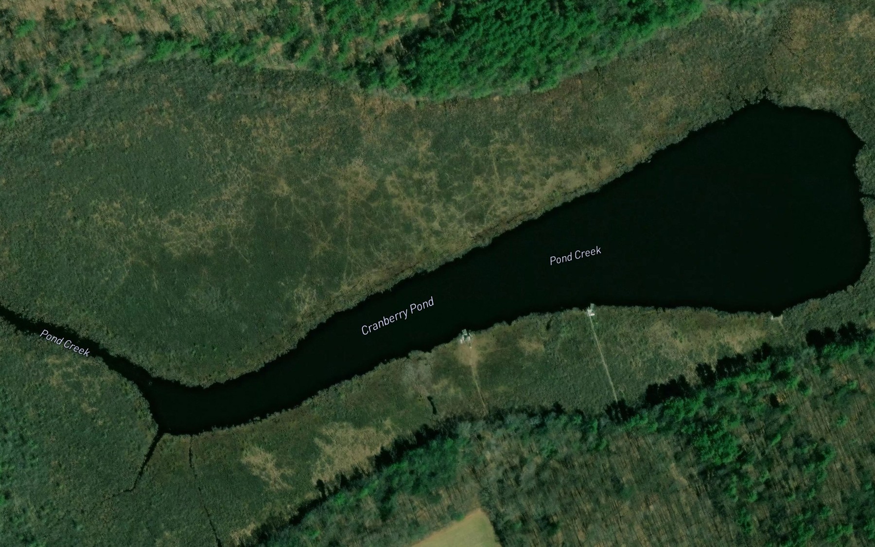 Satellite map of the Cranberry Pond