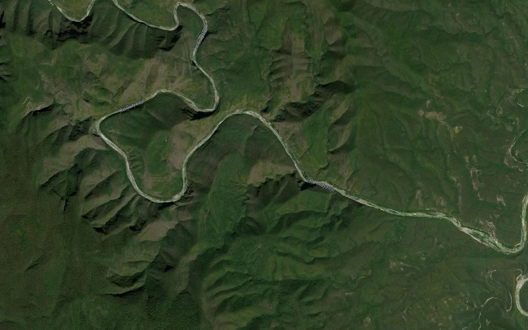 Satellite map of the Rio Guayalejo