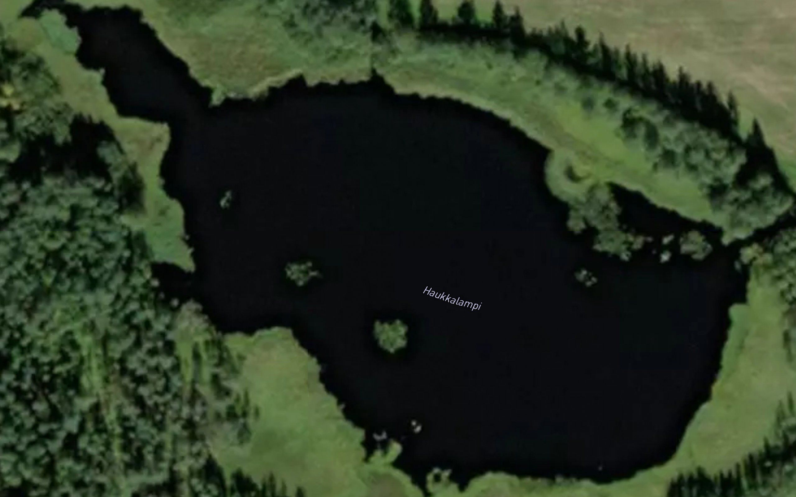 Haukkalampi