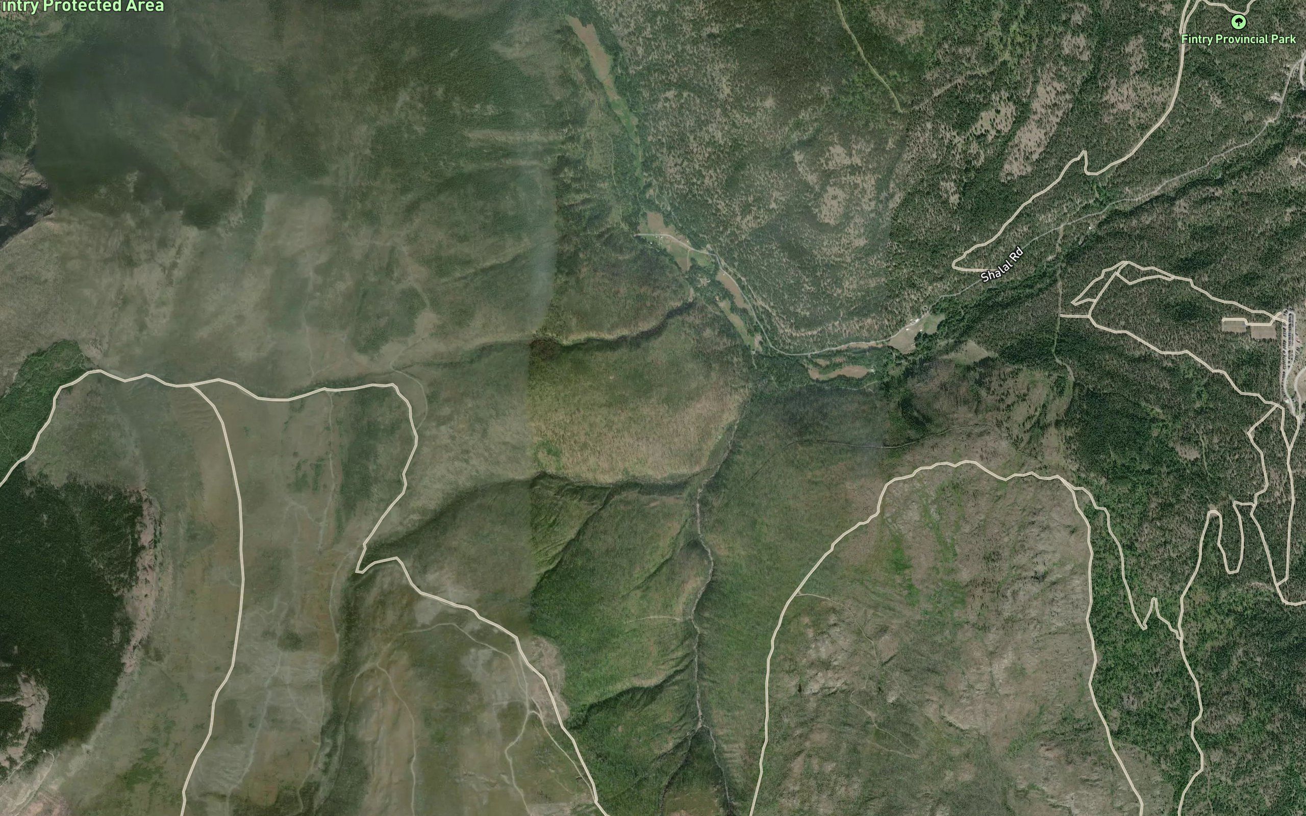 Wilson Creek
