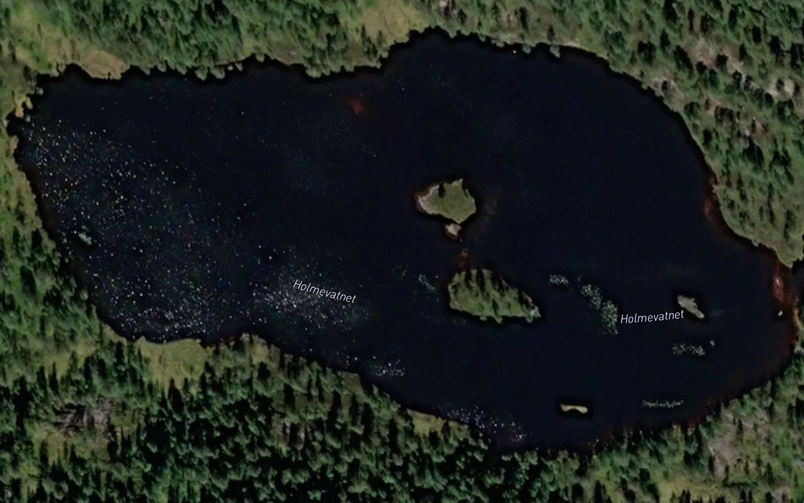 Holmevatnet