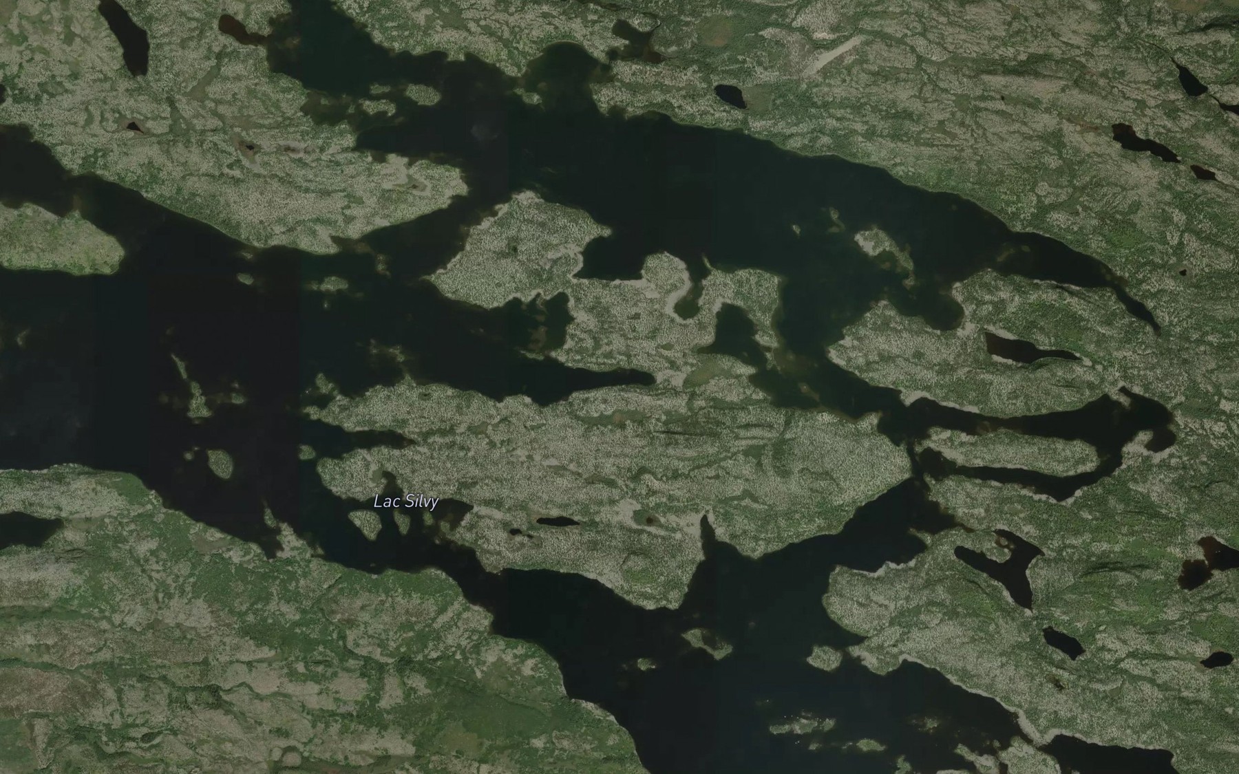 Satellite map of the Lac Silvy