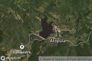 Atopula