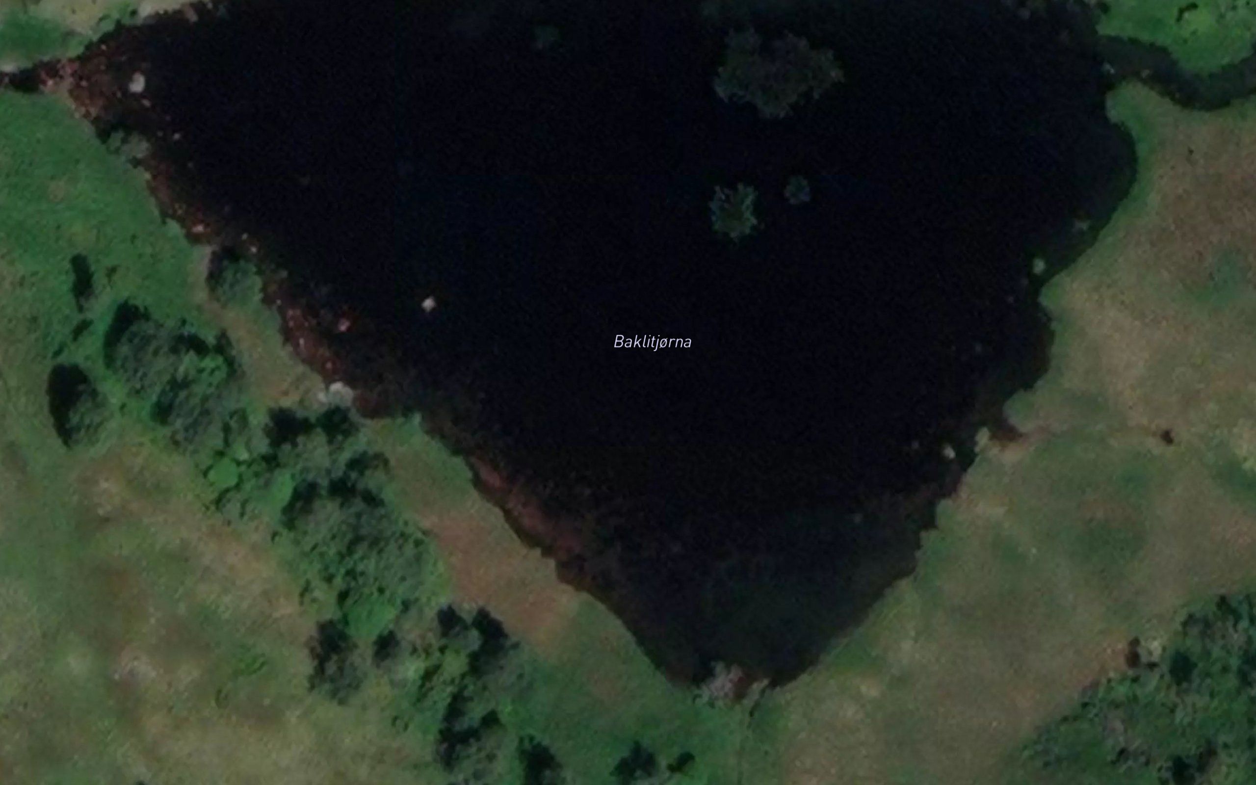 Baklitjorna