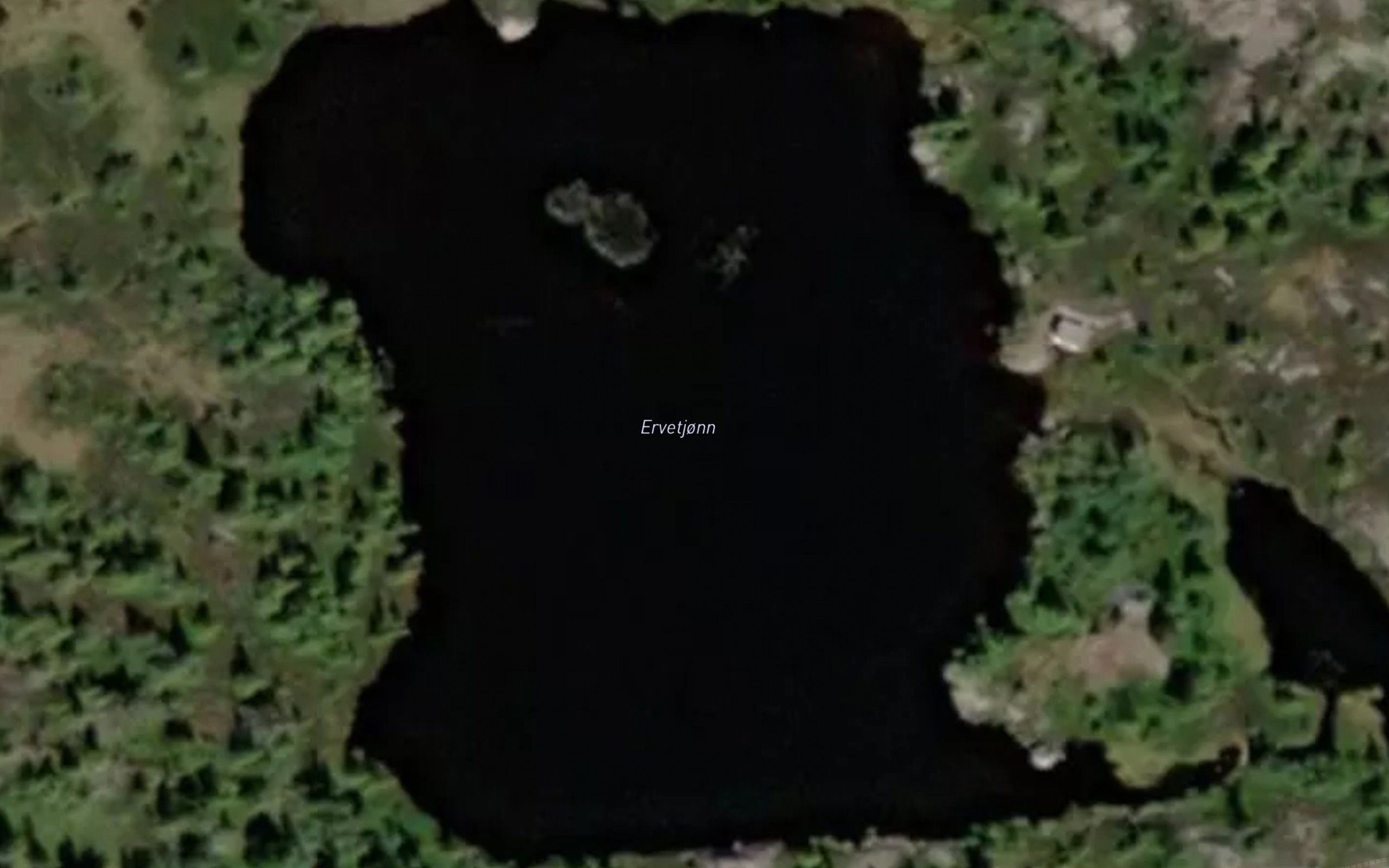 Ervetjorn