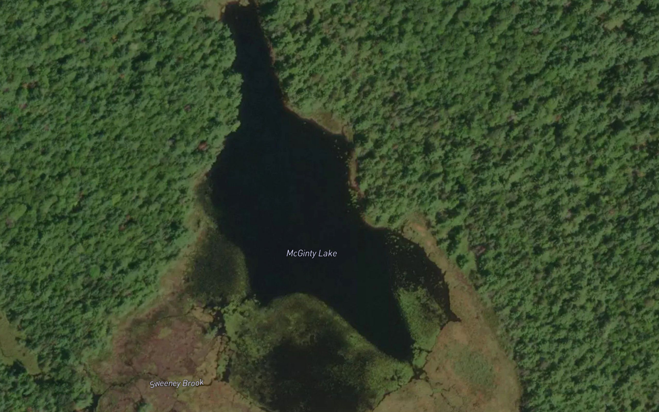 McGinty Lake