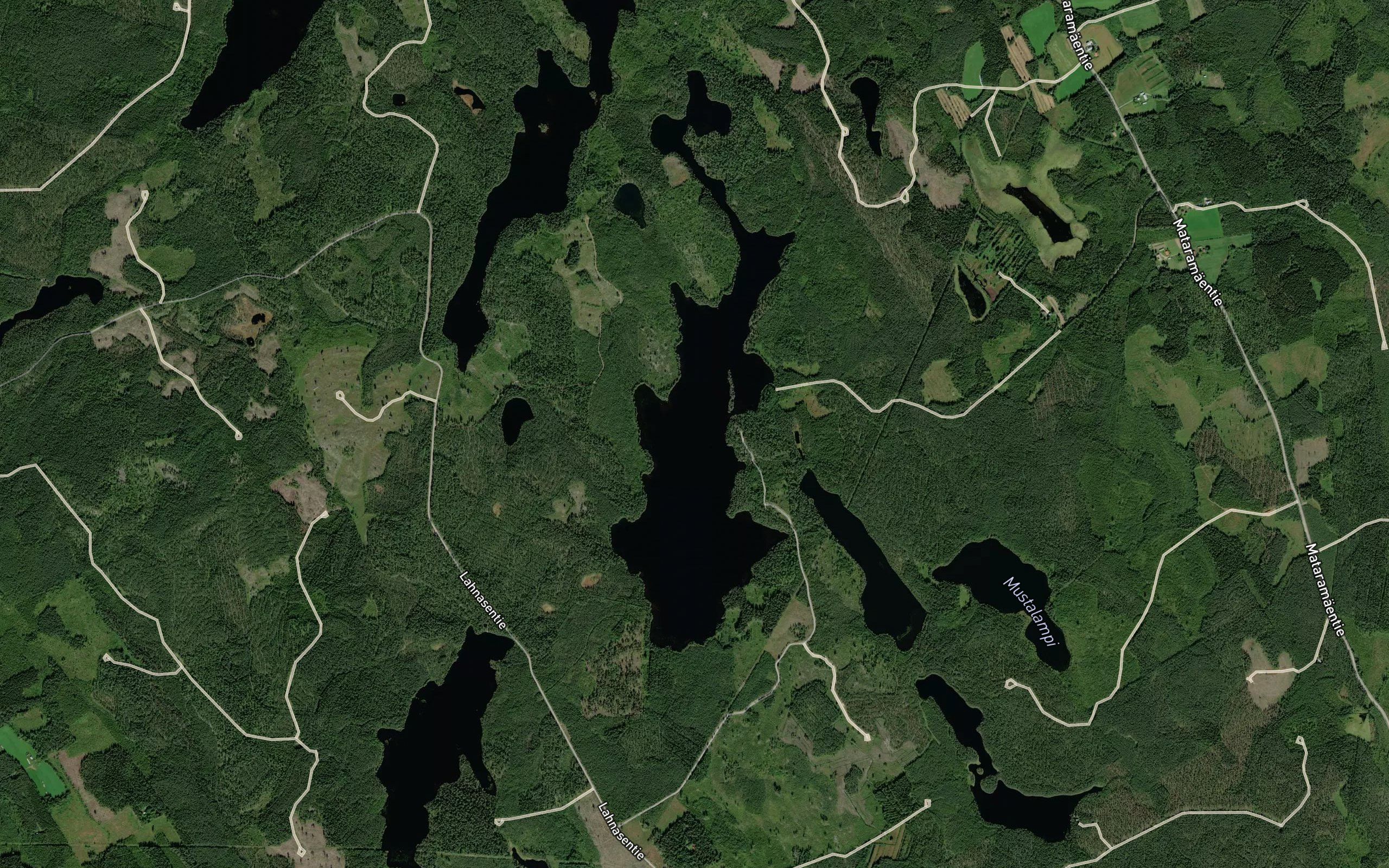 Hoikka