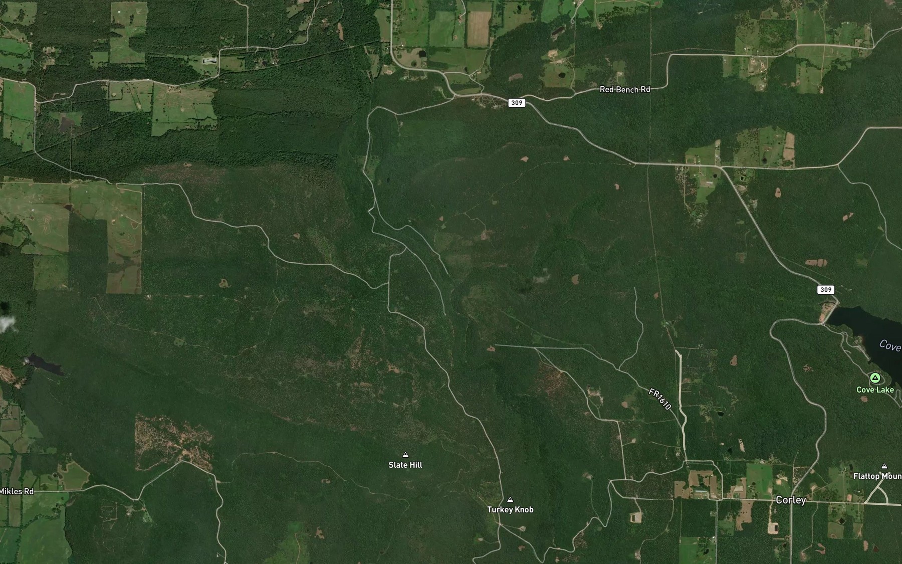 Satellite map of the Cove Creek