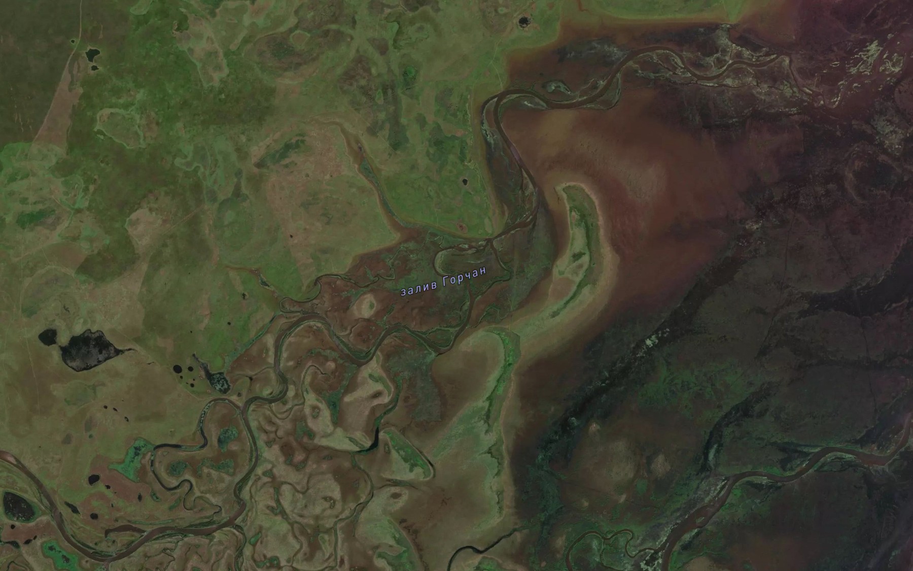 Satellite map of the Zaliv Gorchan