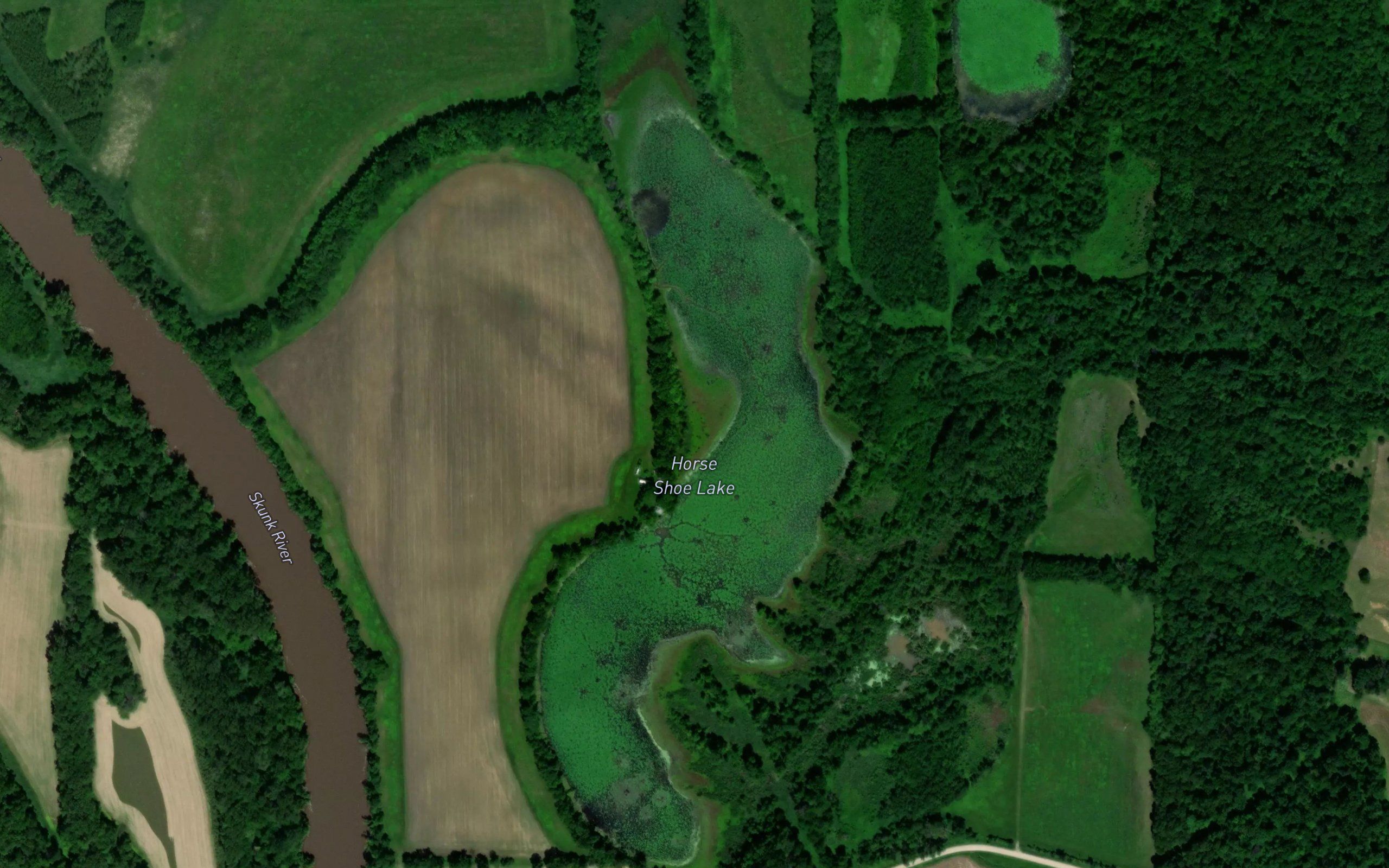Horse Shoe Lake