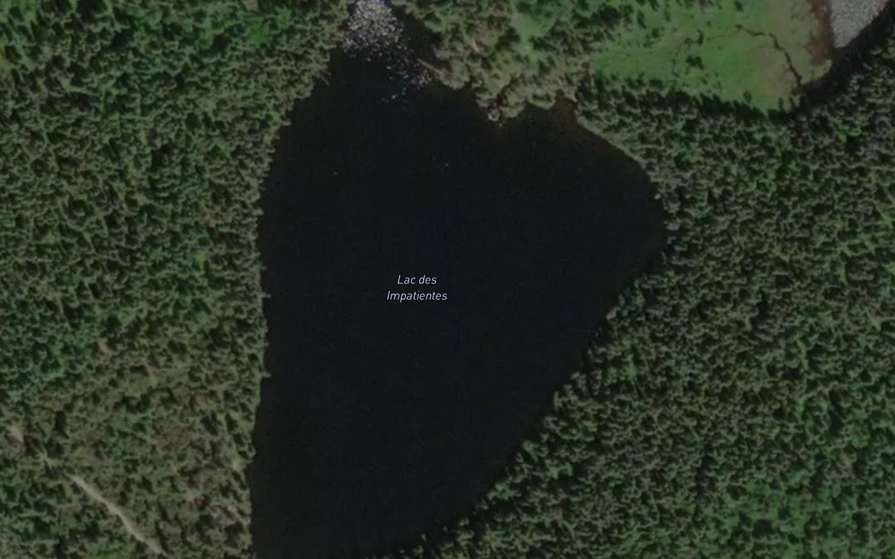 Satellite map of the Lac des Impatientes