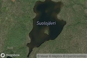Suolujavri