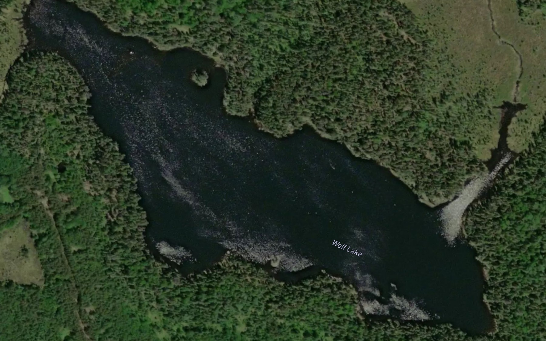Satellite map of the Wolf Lake