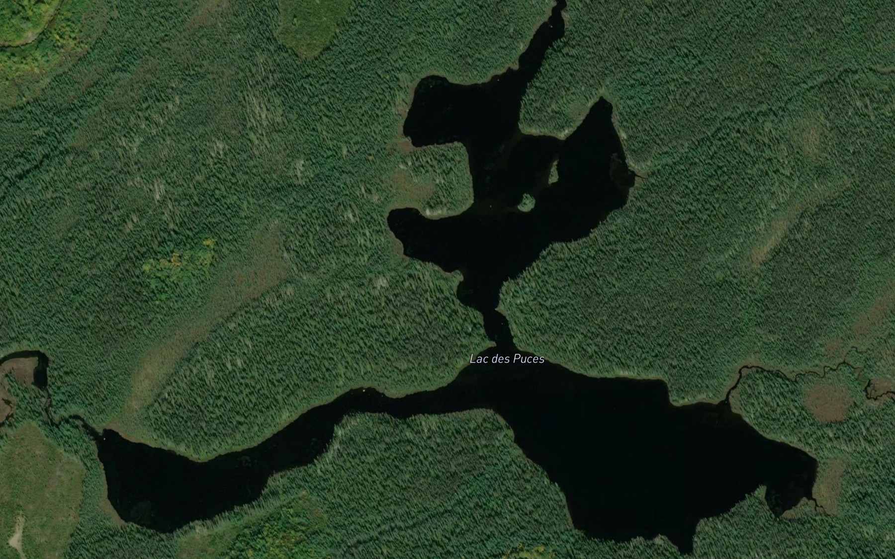 Satellite map of the Lac des Puces
