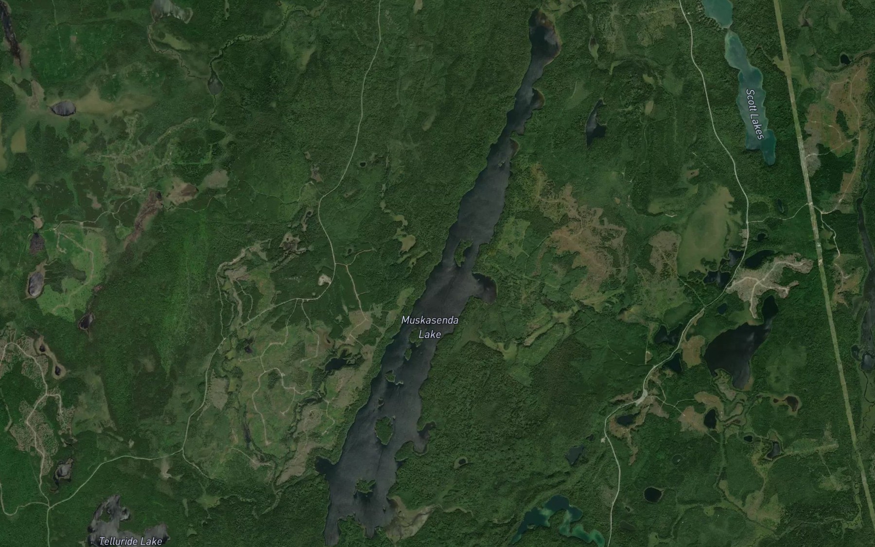 Satellite map of the Muskasenda Lake