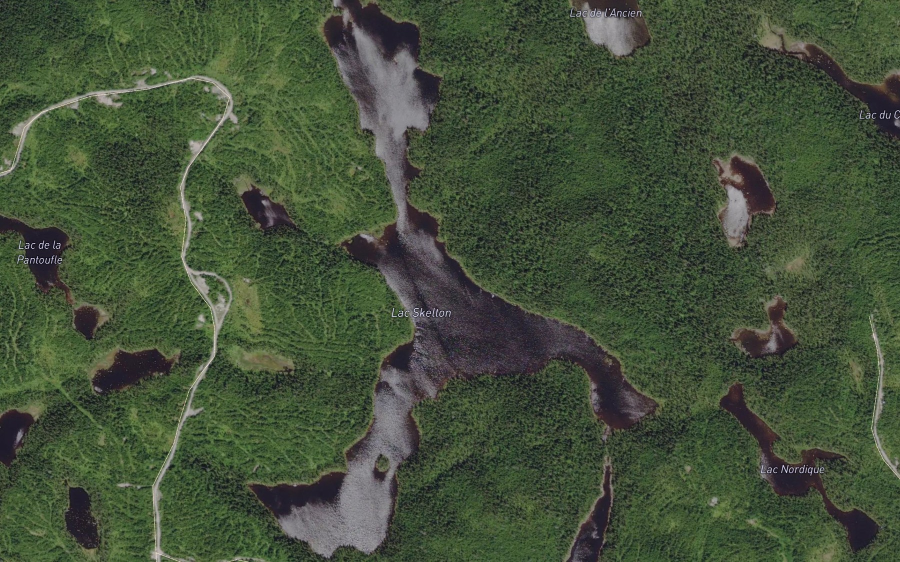 Satellite map of the Lac Skelton