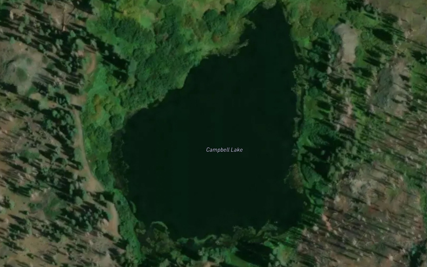Satellite map of the Campbell Lake