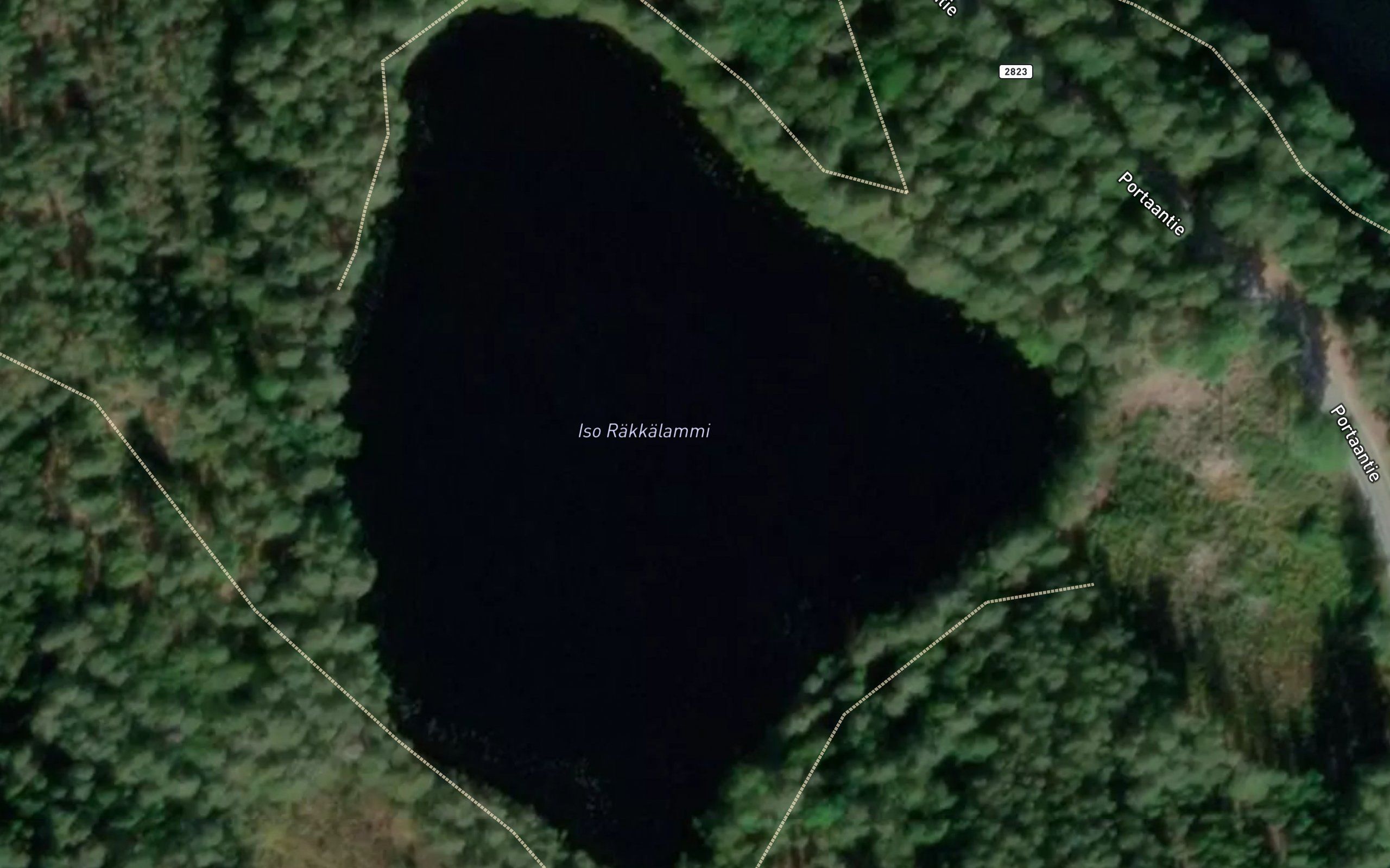 Iso Rakkalammi