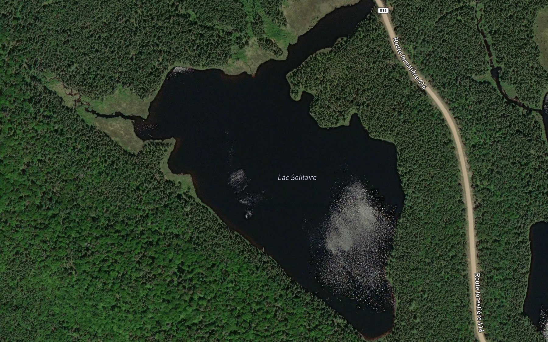 Satellite map of the Lac Solitaire