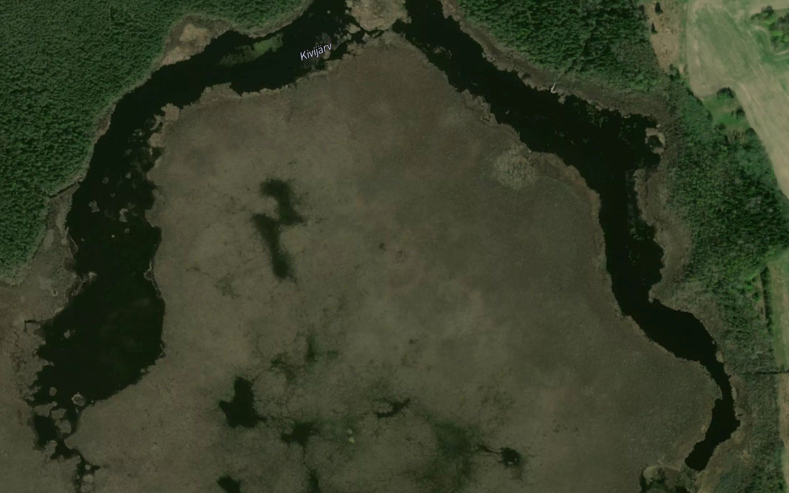 Kivijarv