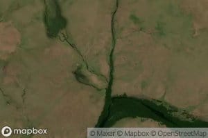 Canada del Sauce Solo