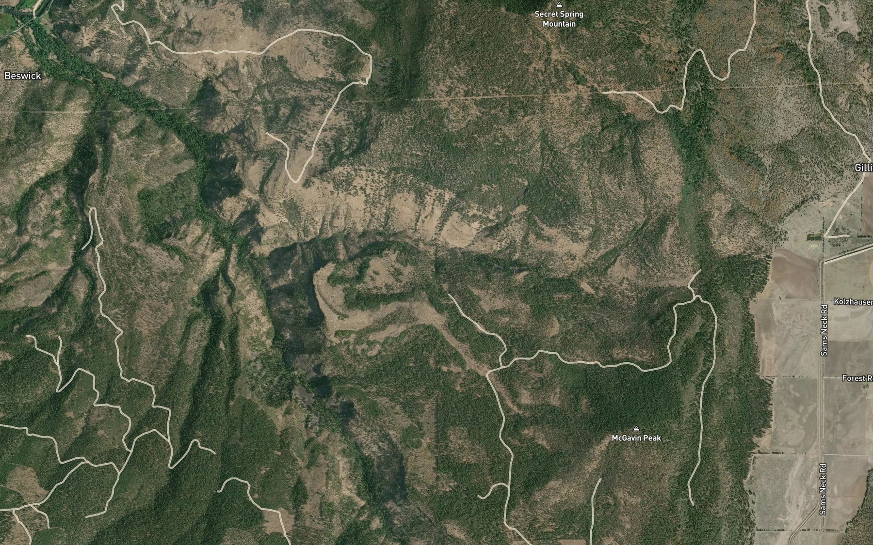 Satellite map of the Bear Wallow Spring