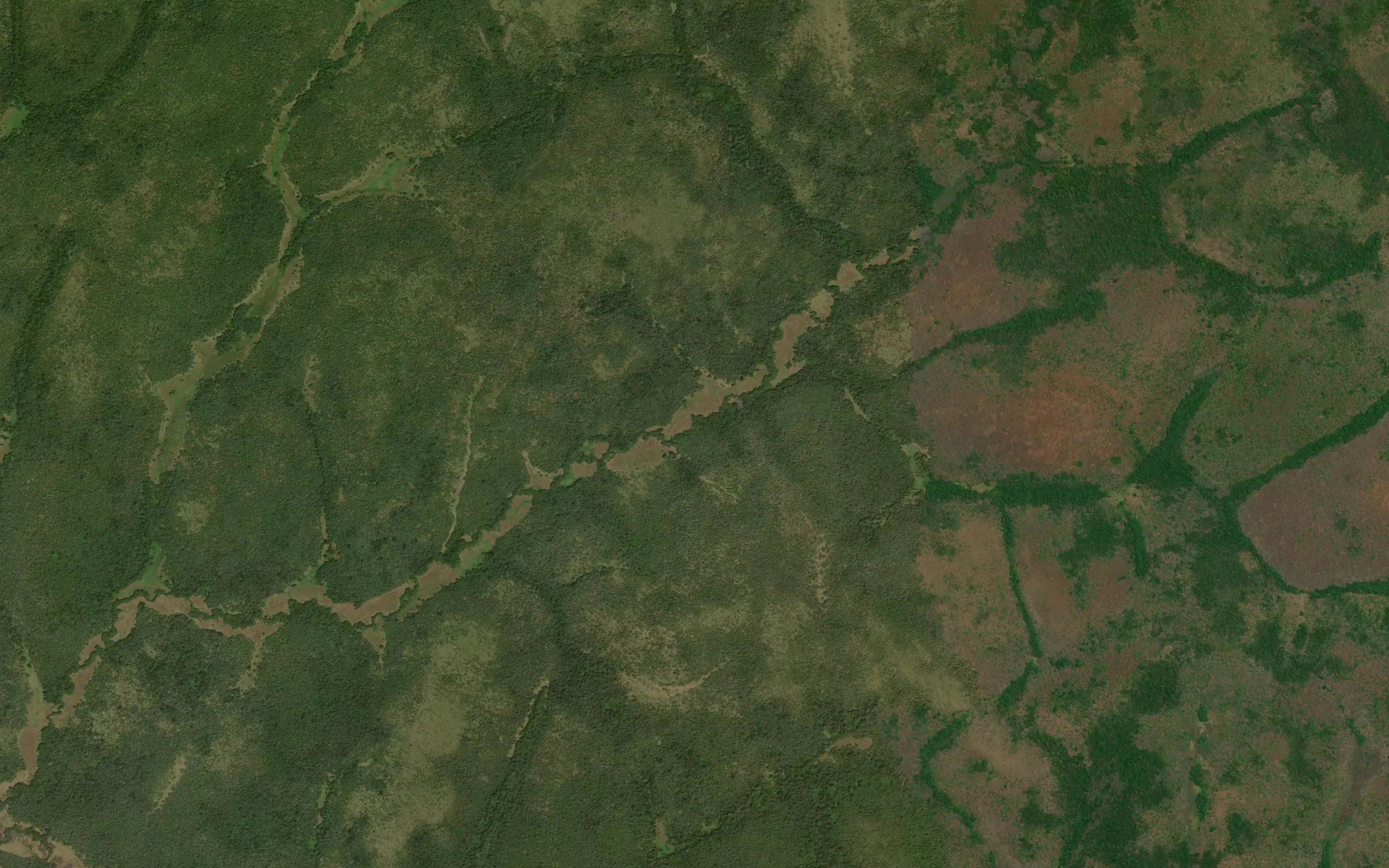 Nabogu