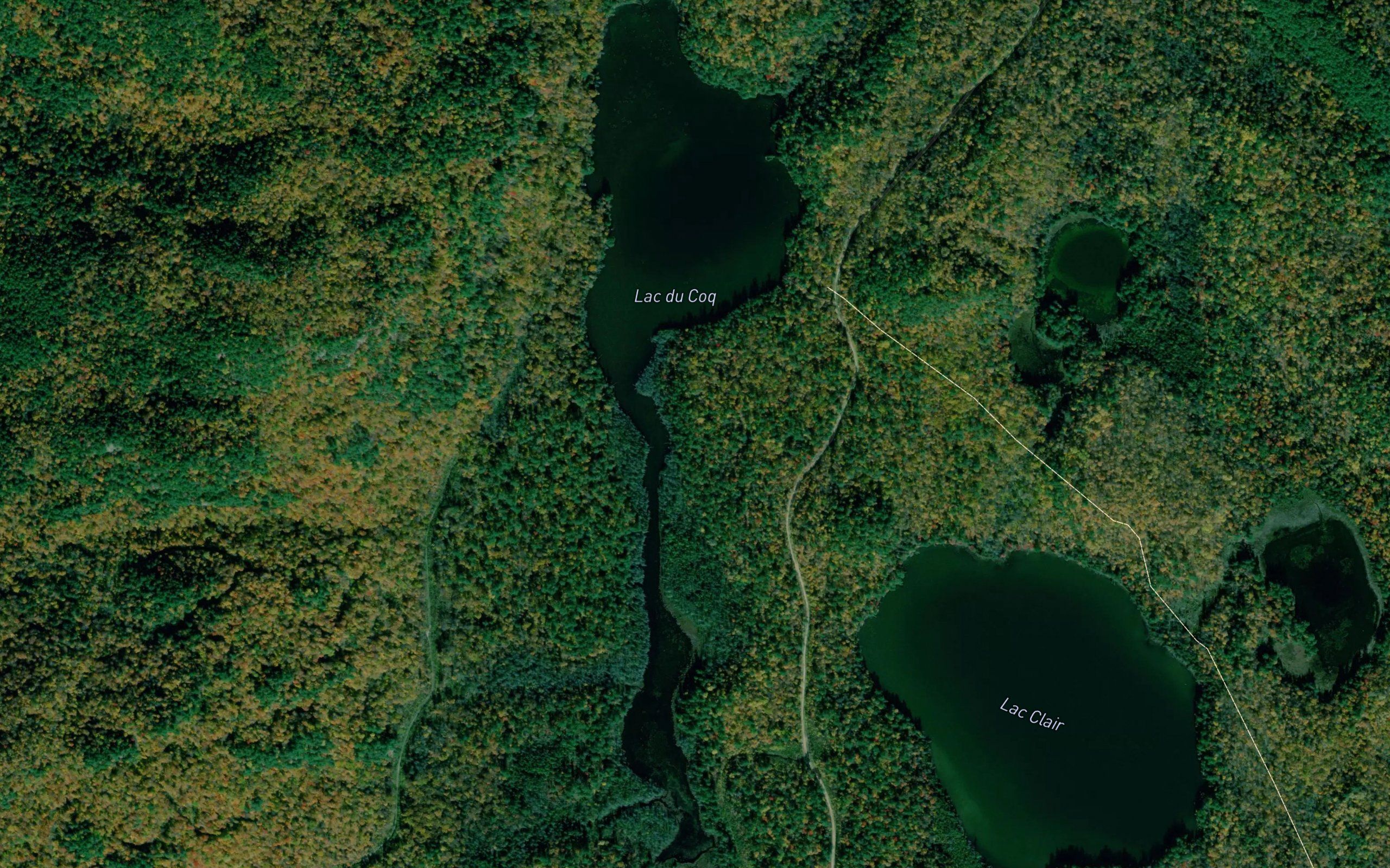 Lac du Coq